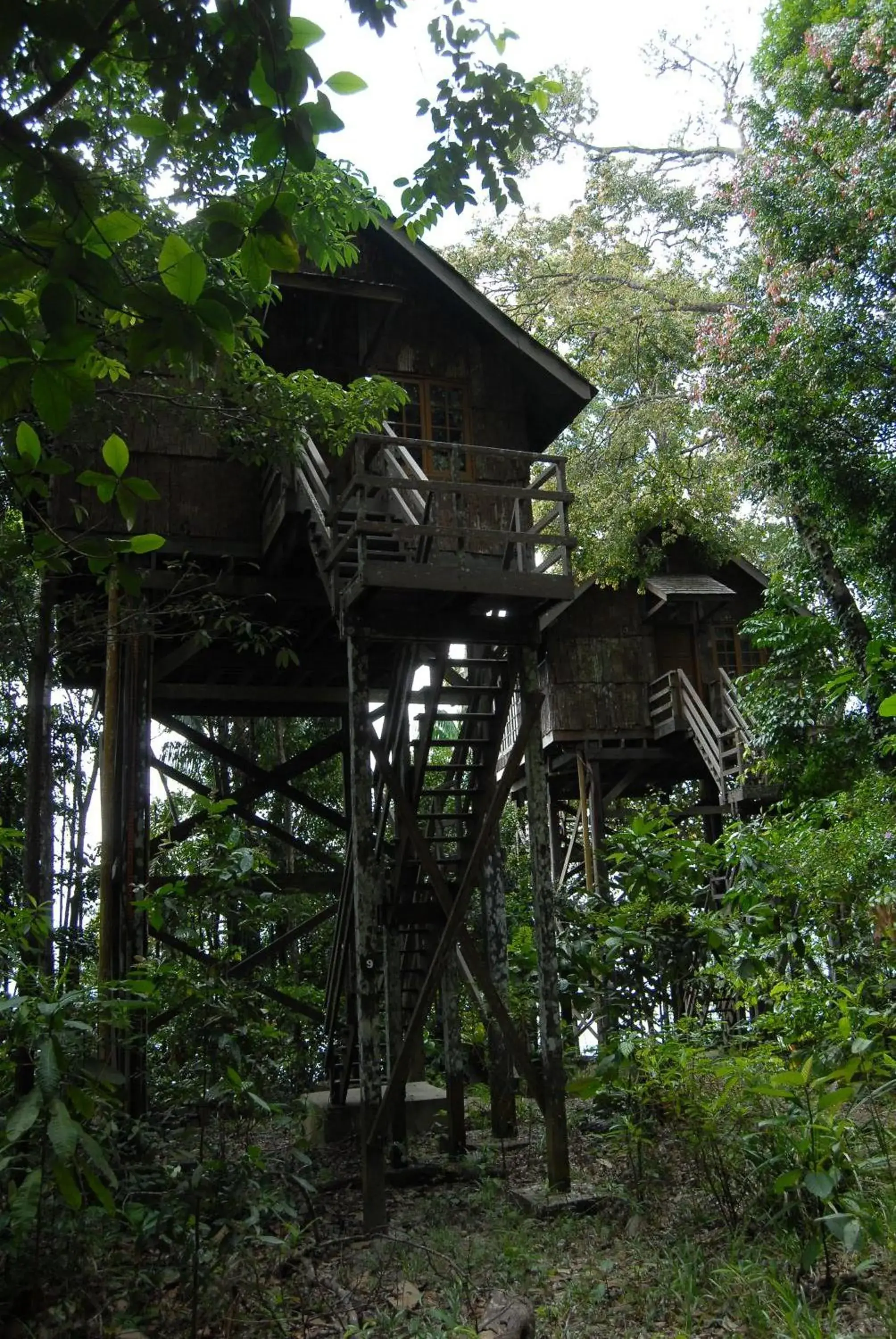 Shower, Property Building in Permai Rainforest Resort