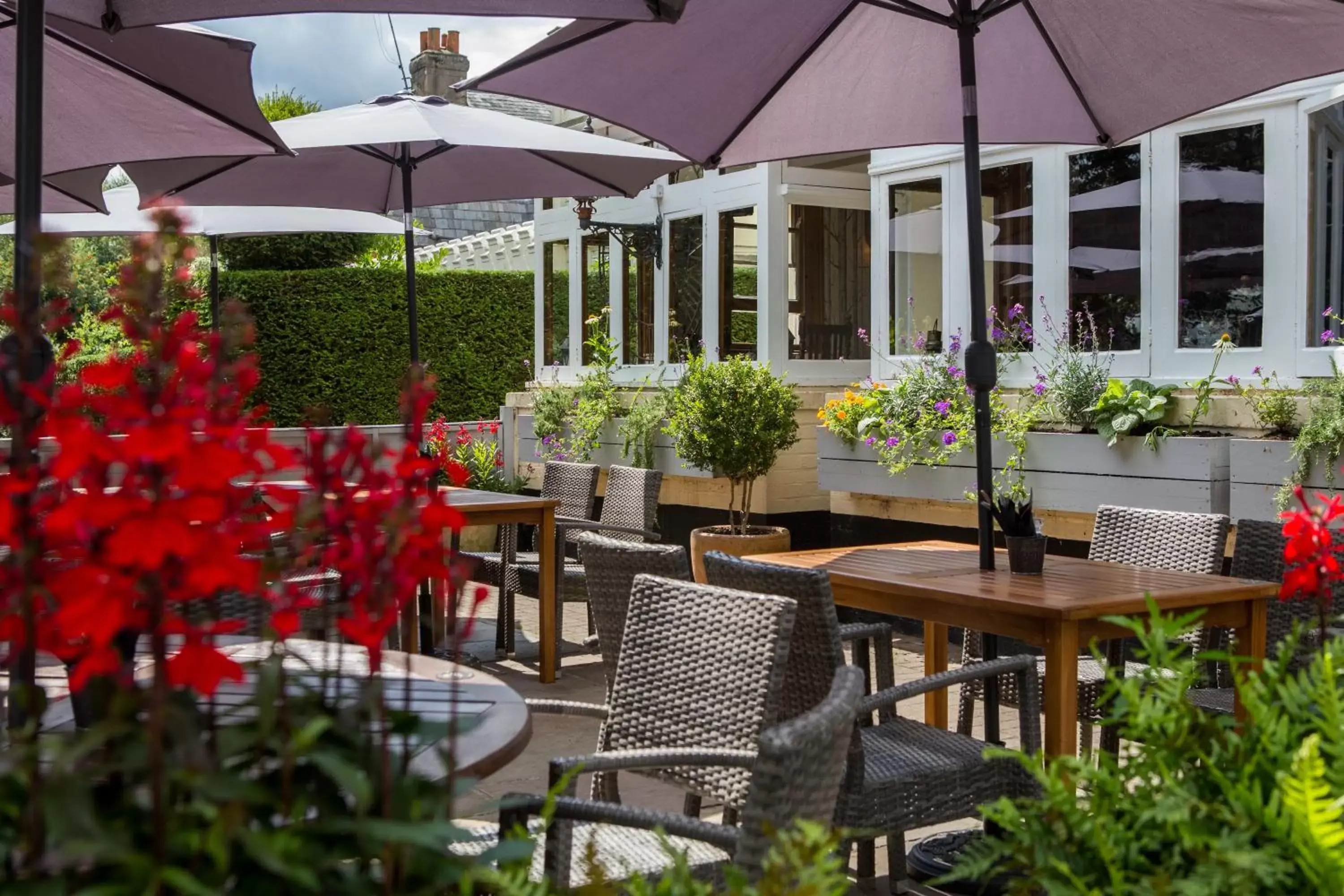 Patio in Mount Edgcumbe