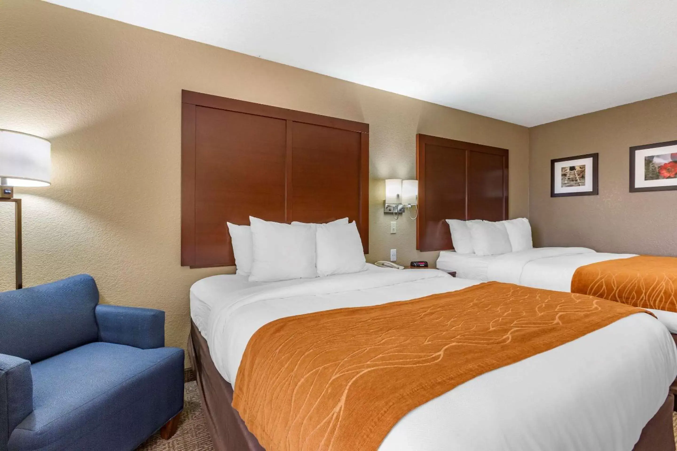 Photo of the whole room, Bed in Comfort Inn & Suites Deming