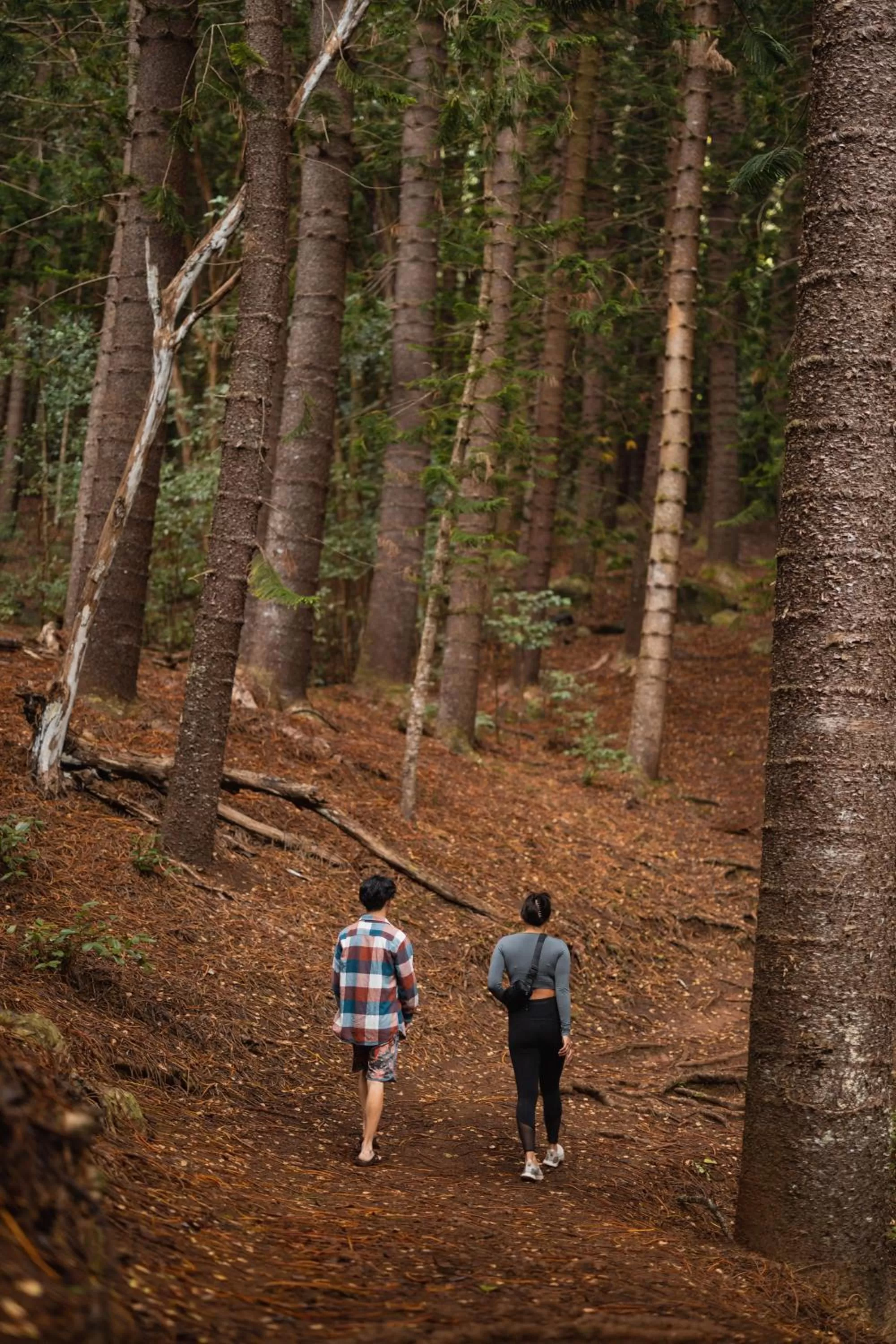 Natural landscape in Kauai Shores Hotel