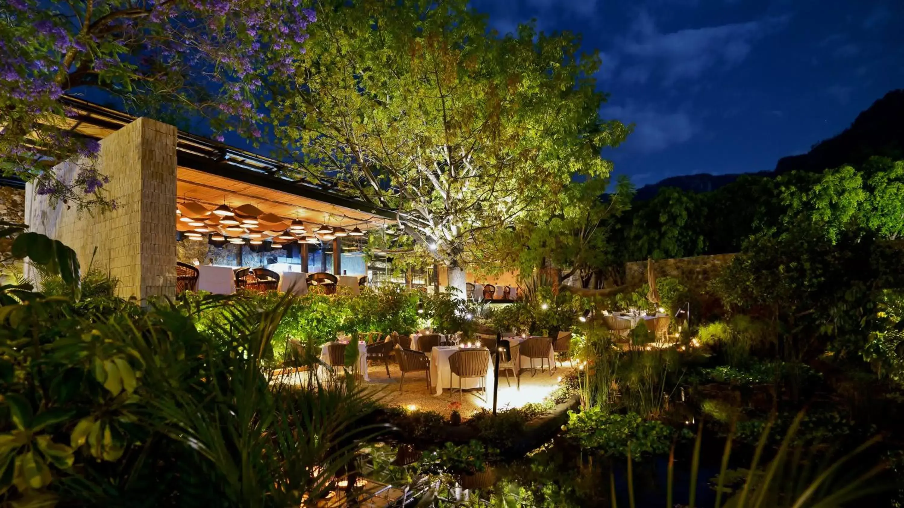 Restaurant/places to eat in Amomoxtli Restaurant/places to eat in Amomoxtli