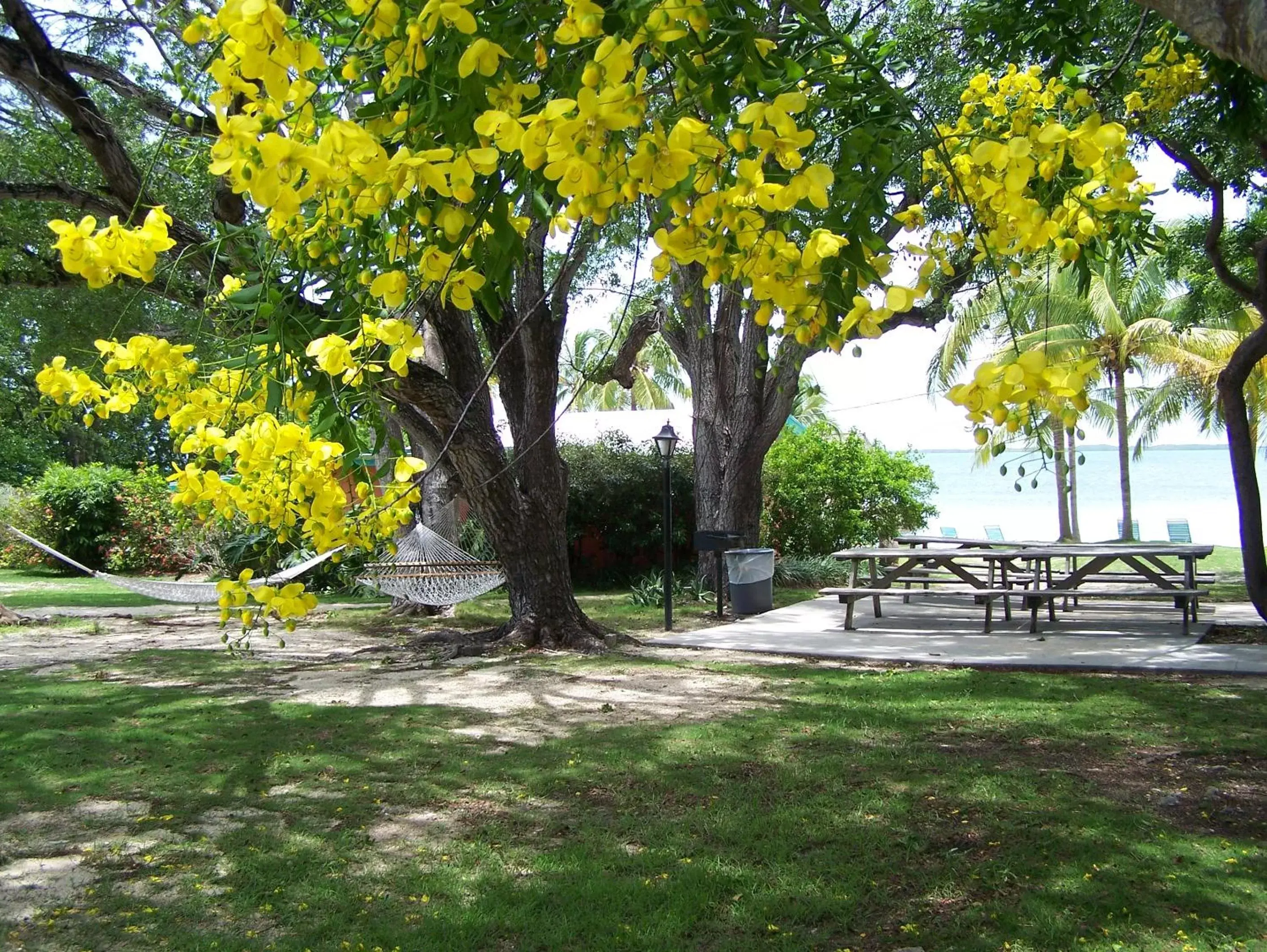 BBQ facilities, Garden in Rock Reef Resort