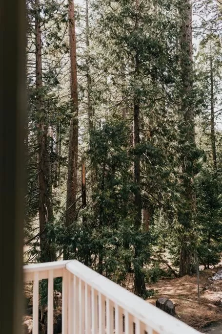 Balcony/Terrace in The Long Barn Lodge