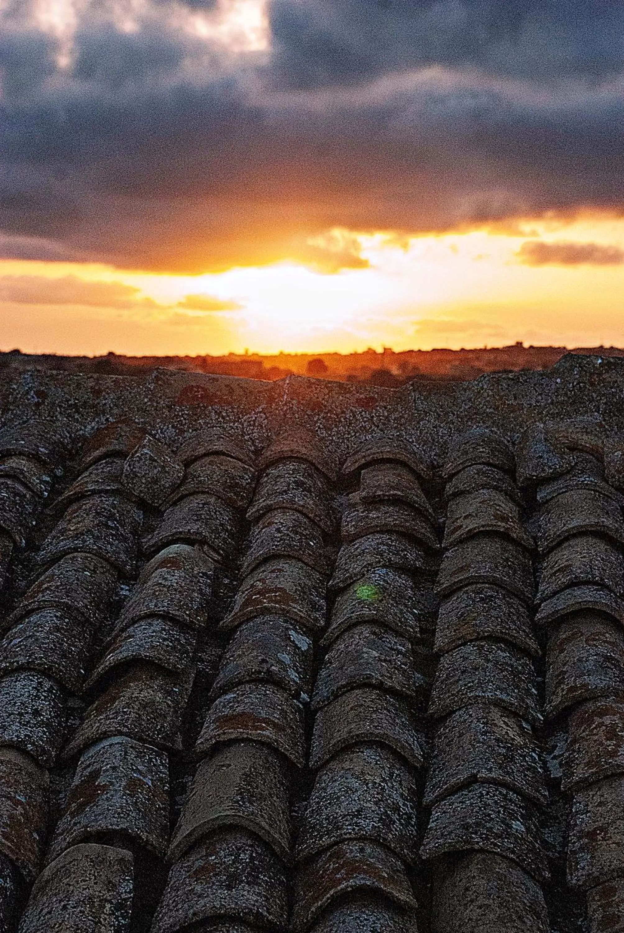 Sunset in Vinciucci