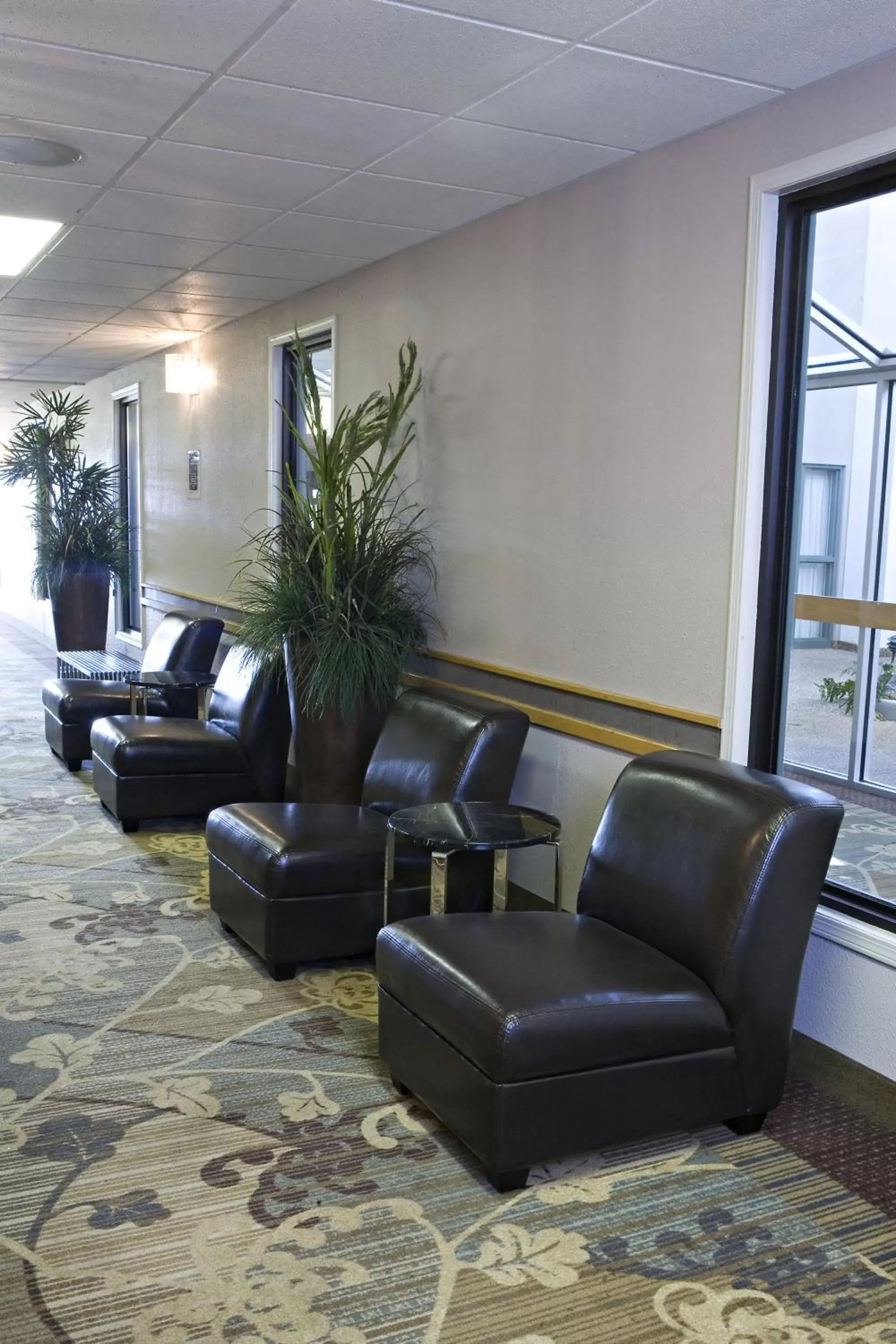 Area and facilities, Lobby/Reception in Heritage Inn Hotel & Convention Centre - Taber