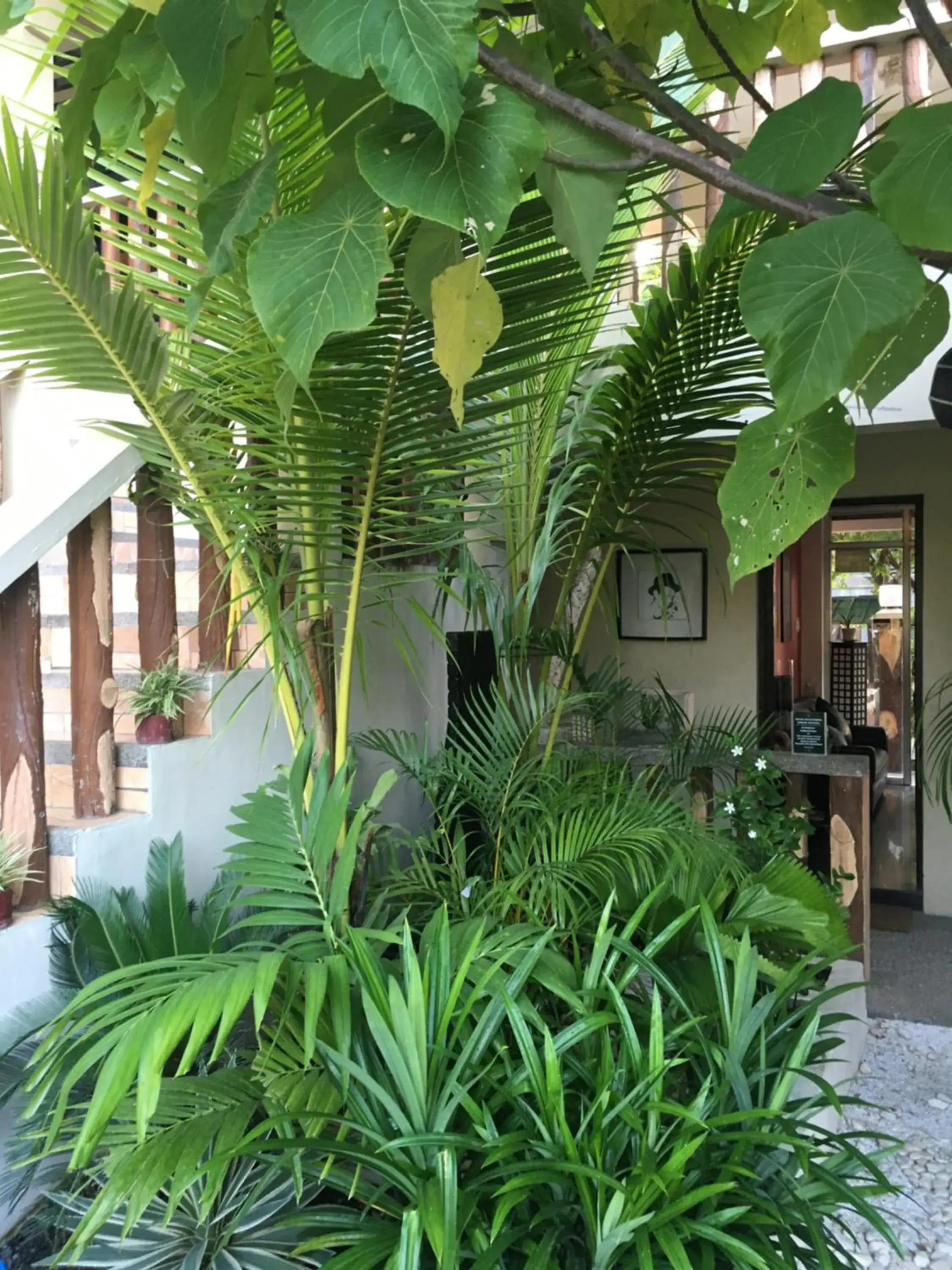 Day, Property Building in Stardust Beach Hotel