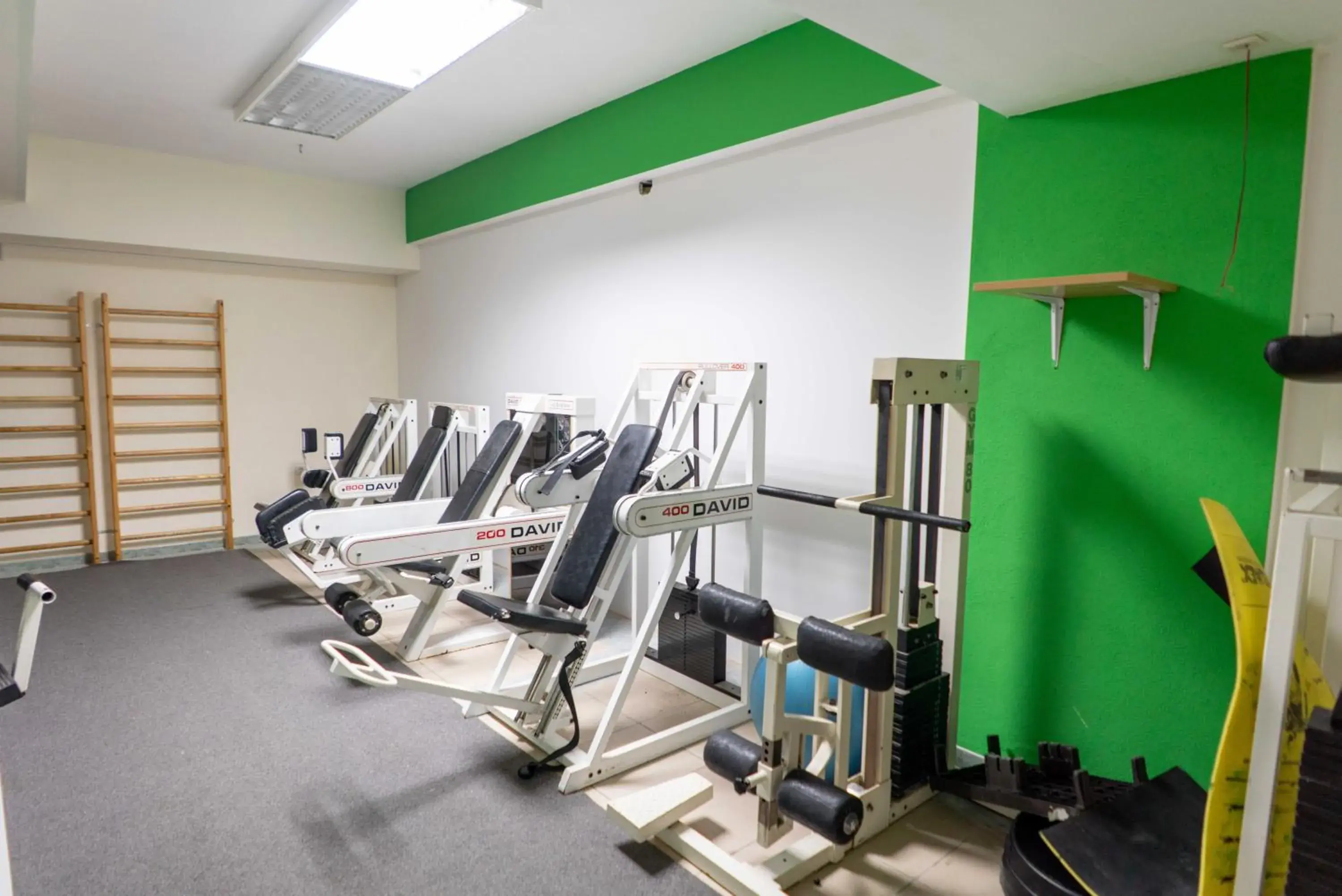 Fitness centre/facilities, Fitness Center/Facilities in Hotel Sveti Kriz