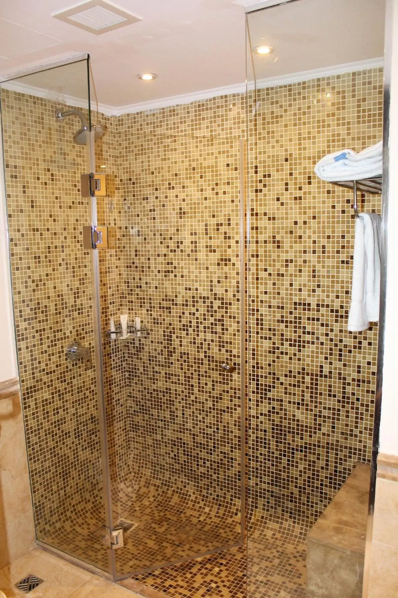 Shower, Bathroom in Cleopatra Hotel