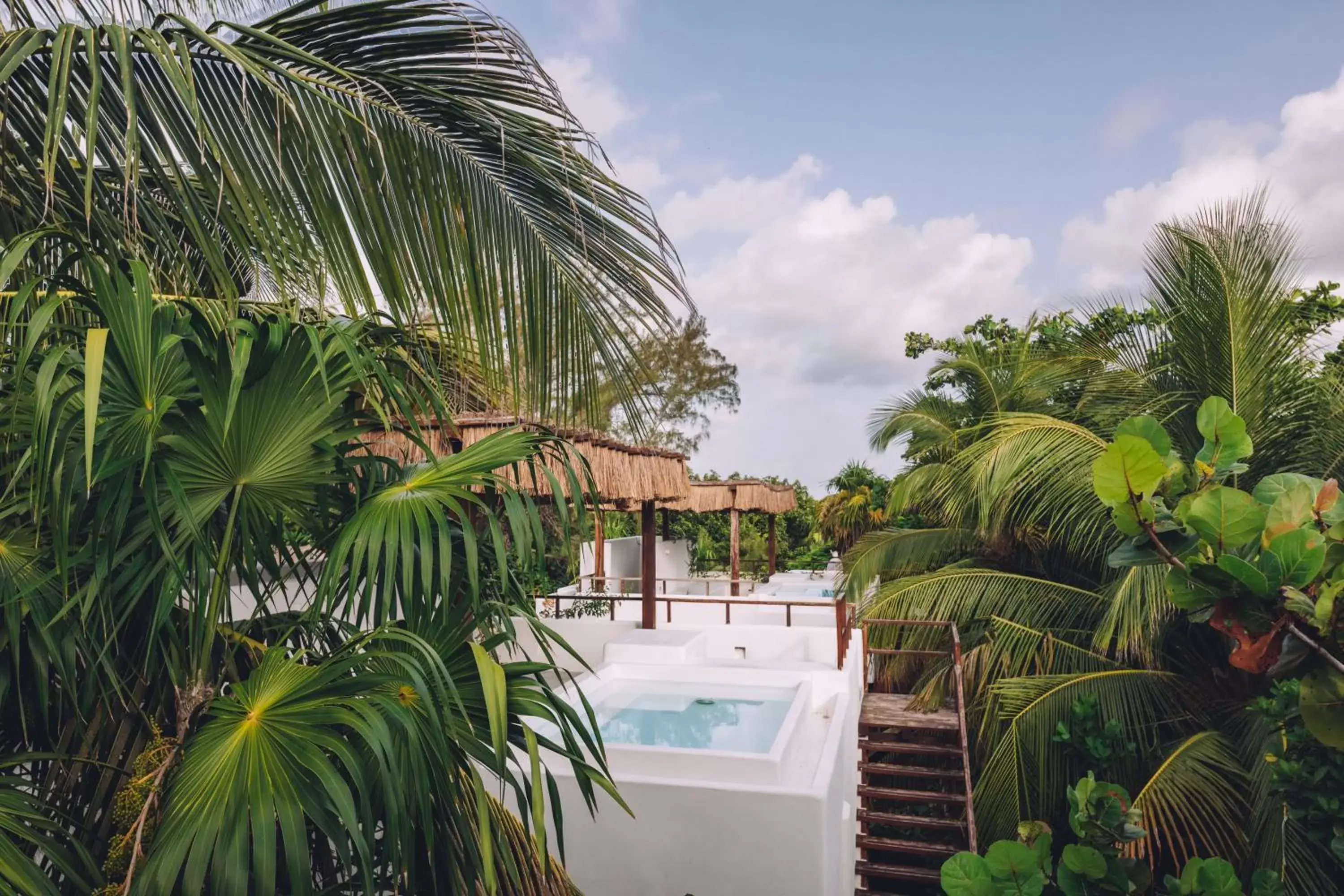 Property building, Swimming Pool in Chiringuito Tulum