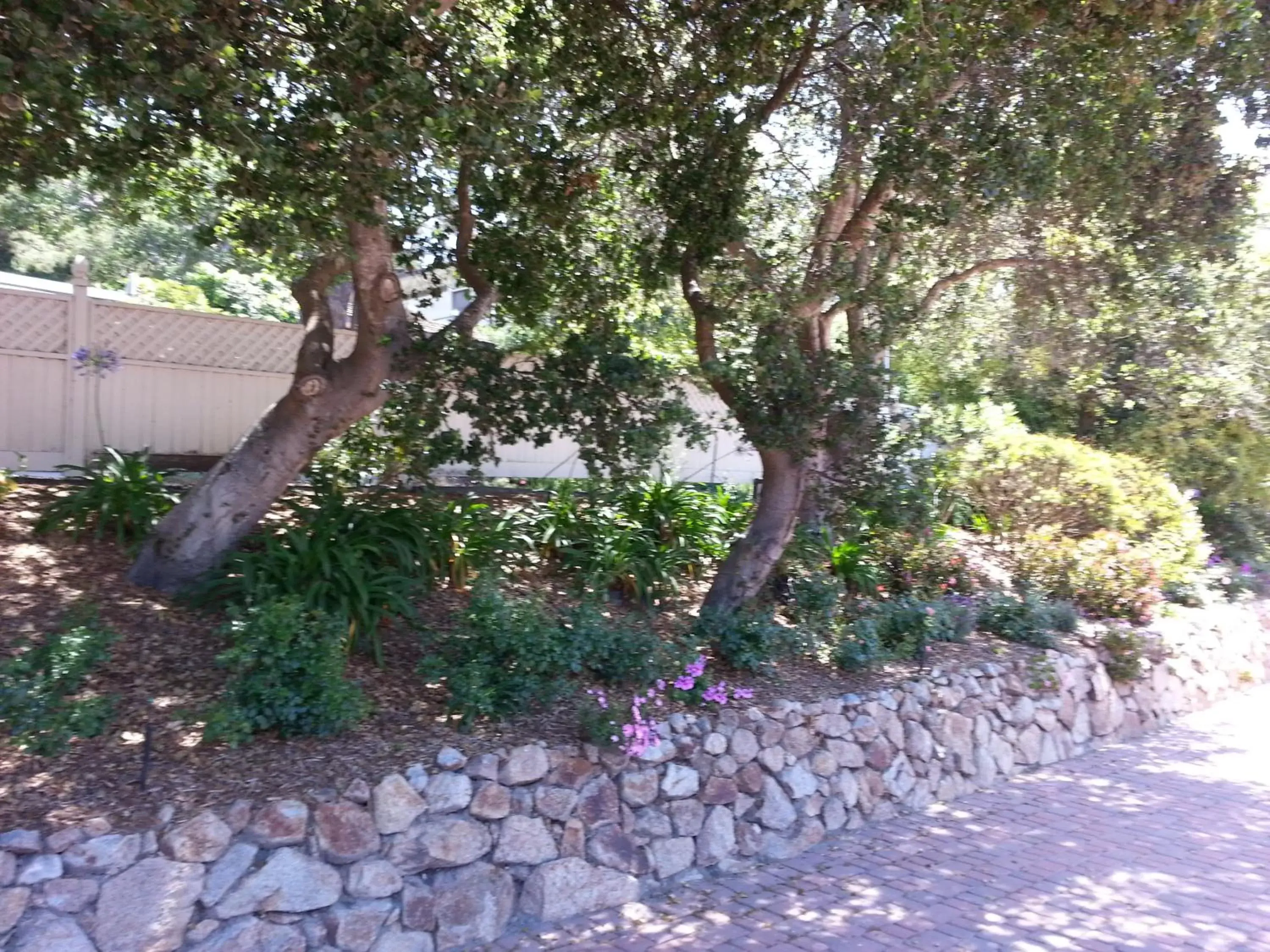 Facade/entrance, Garden in The Vendange Carmel Inn & Suites