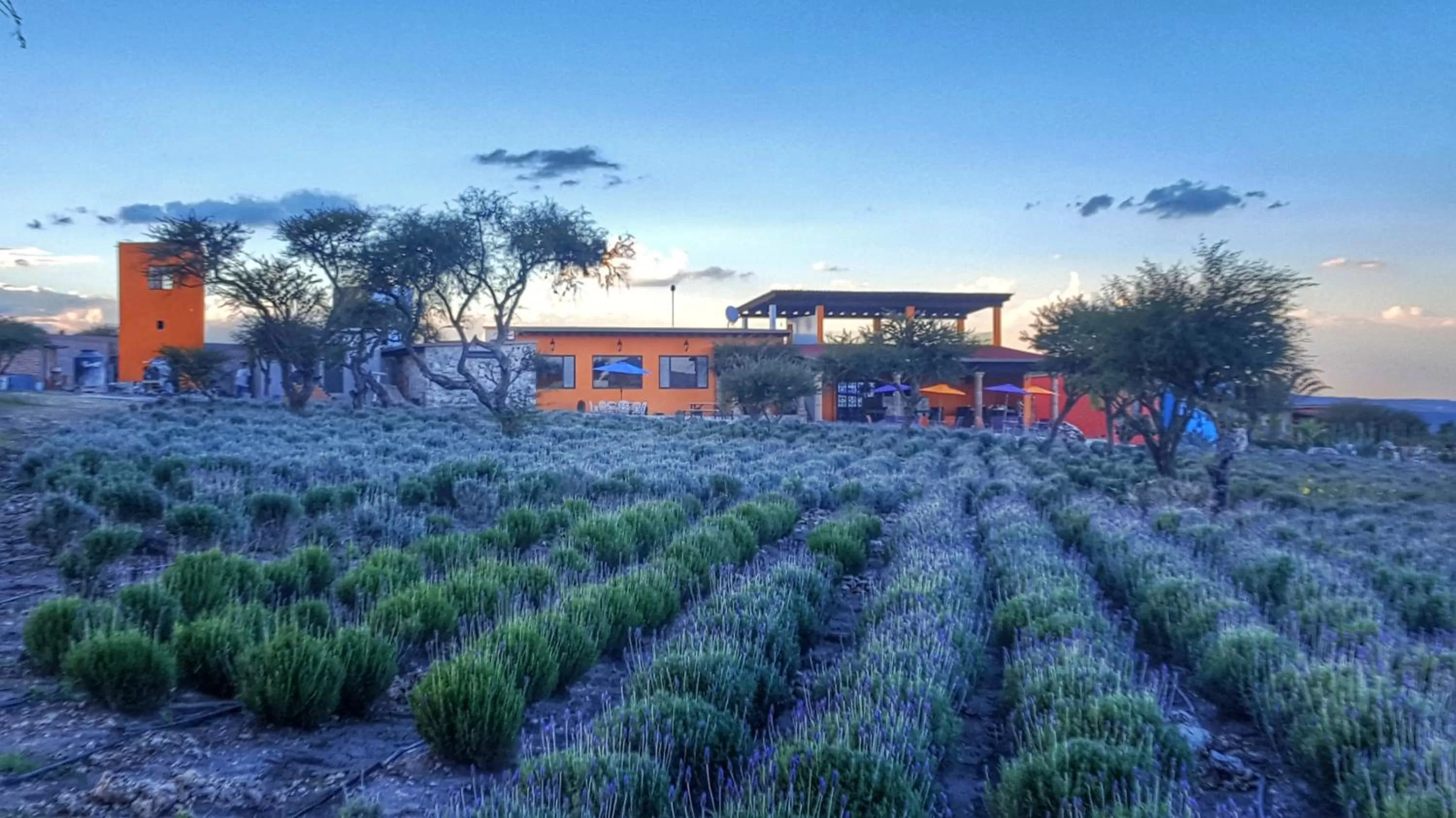 Property building in El Macehual