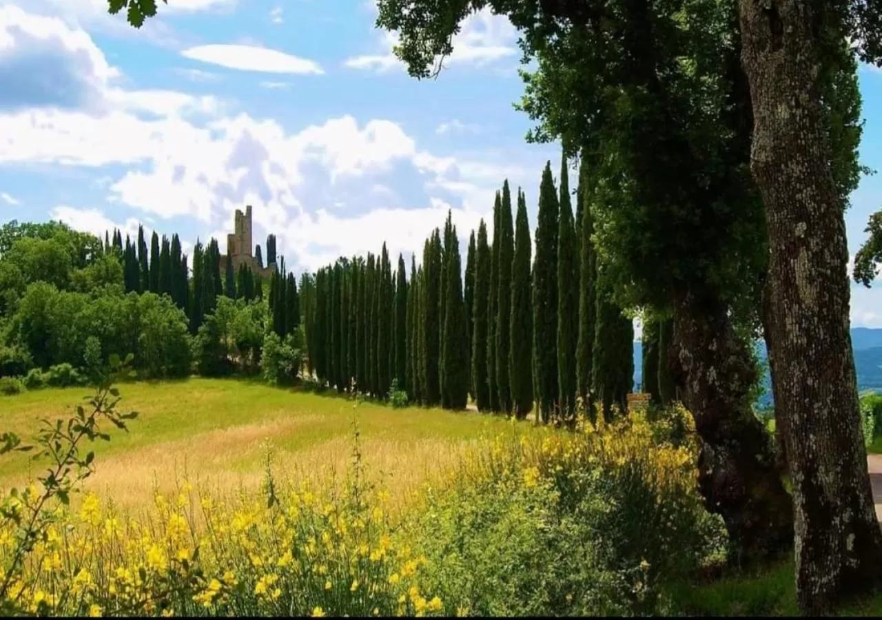 Natural landscape in B&B BORGHI