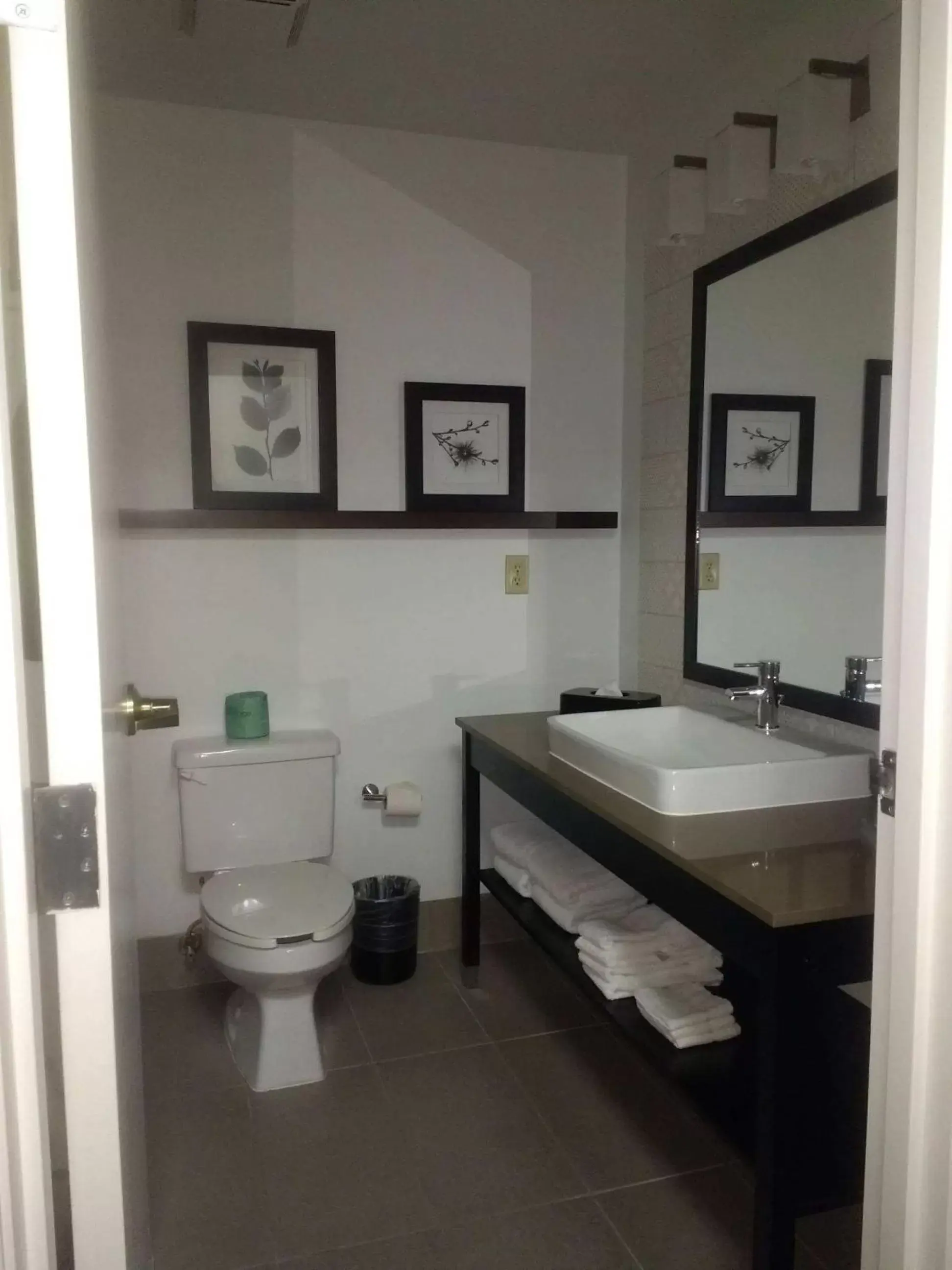 Toilet, Bathroom in Country Inn & Suites by Radisson, DFW Airport South, TX