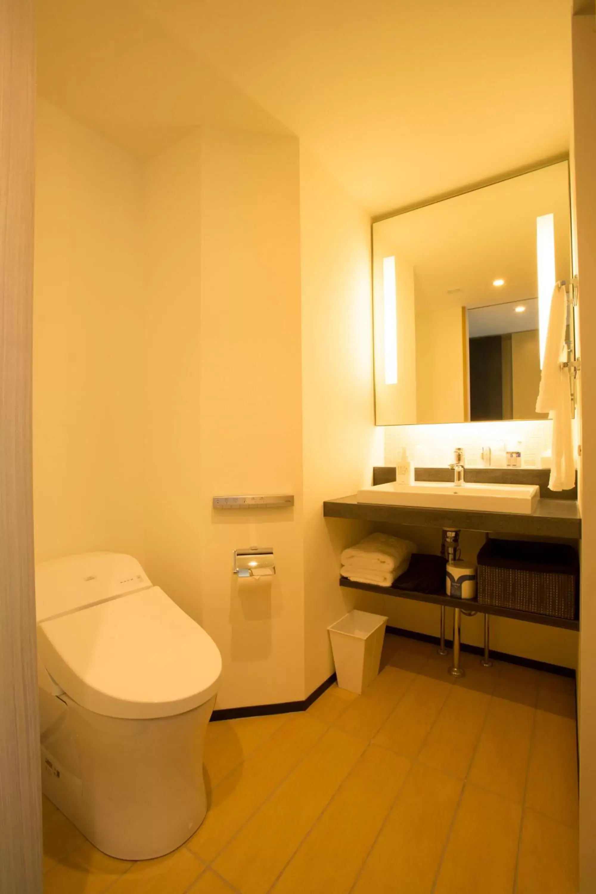Bathroom in JR Kyushu Hotel Blossom Shinjuku