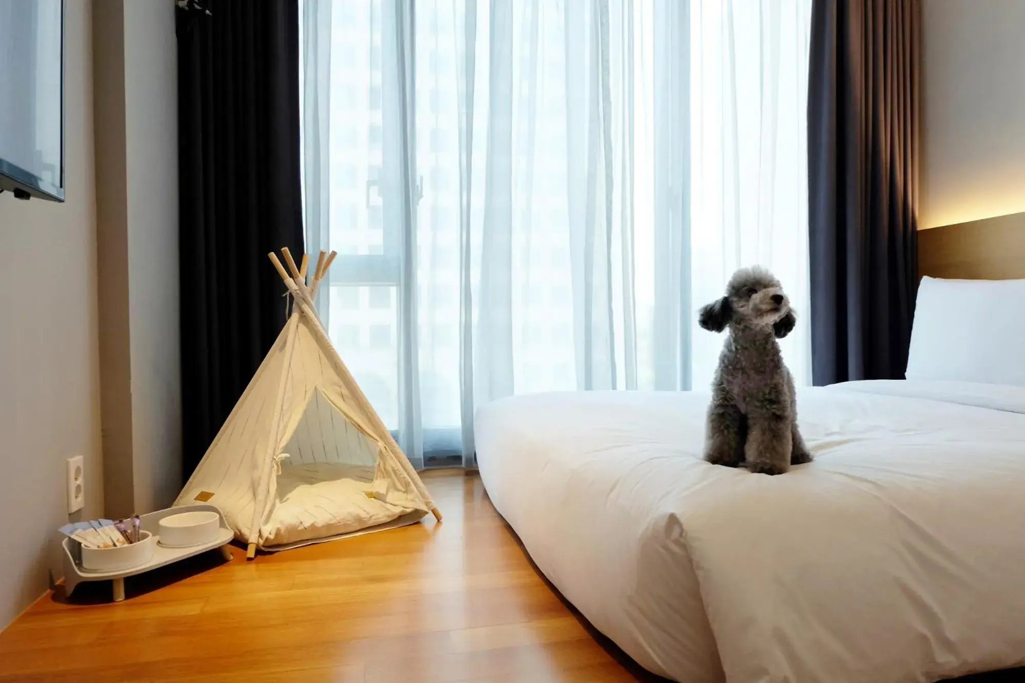 Bed in Hotel Peyto Gangnam