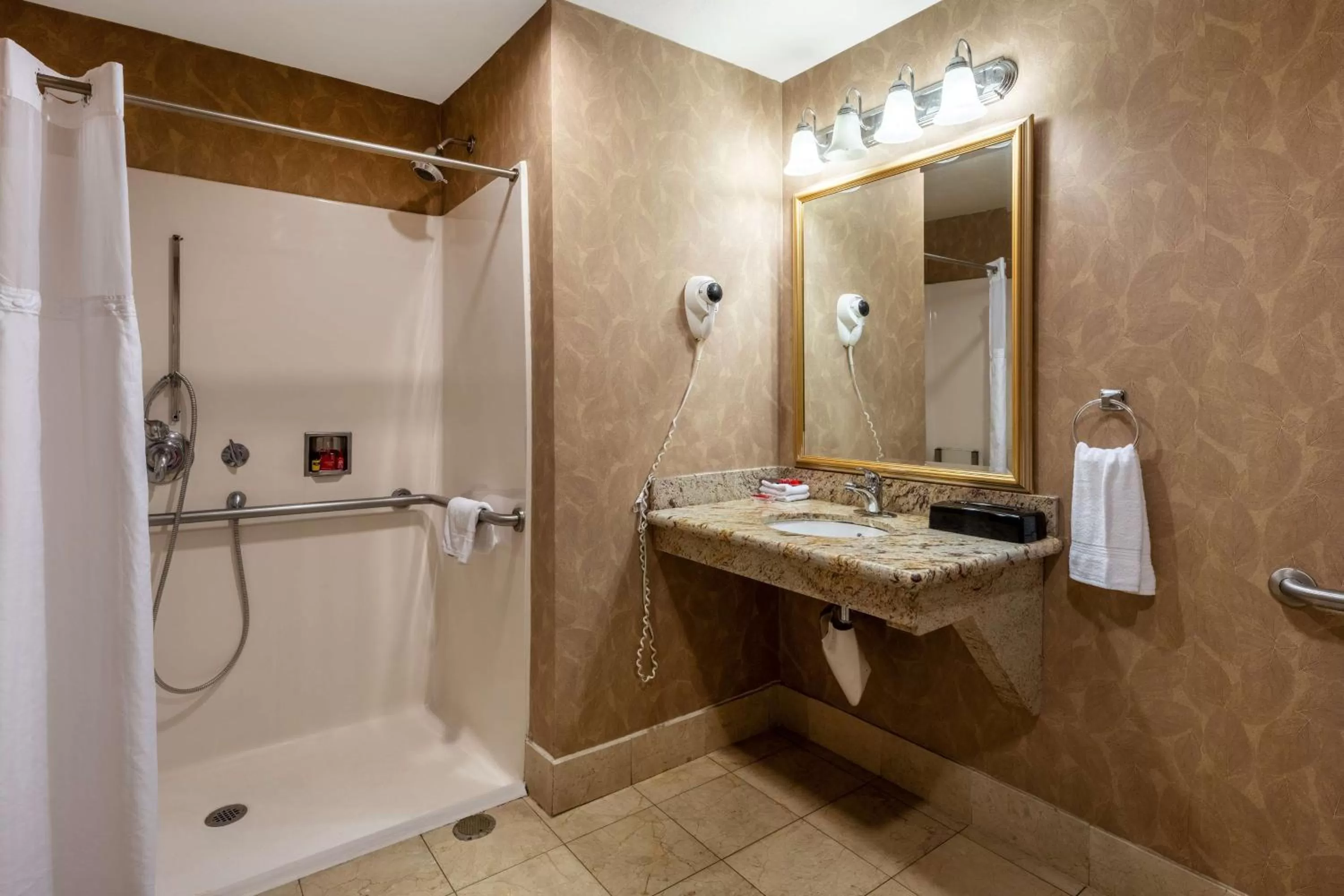 Bathroom in SureStay Plus Hotel by Best Western Mountain View