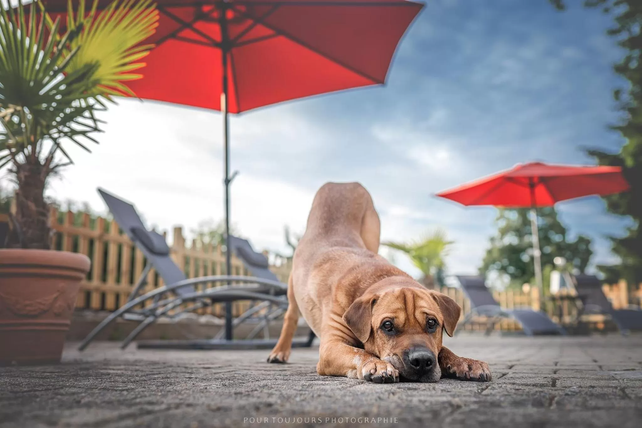 Balcony/Terrace in Berghotel Steiger - Erzgebirge