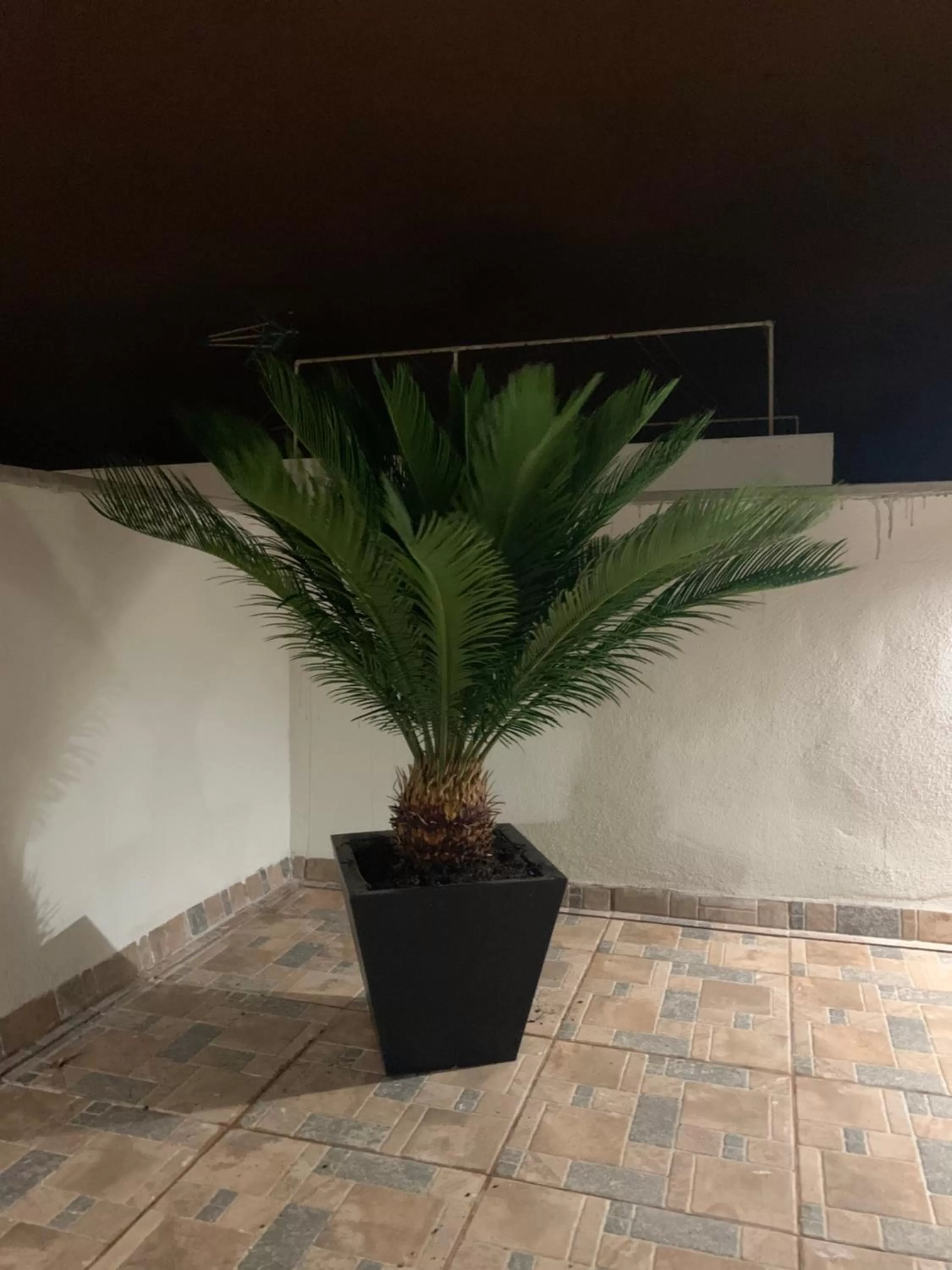 Balcony/Terrace in Villa Rosaura