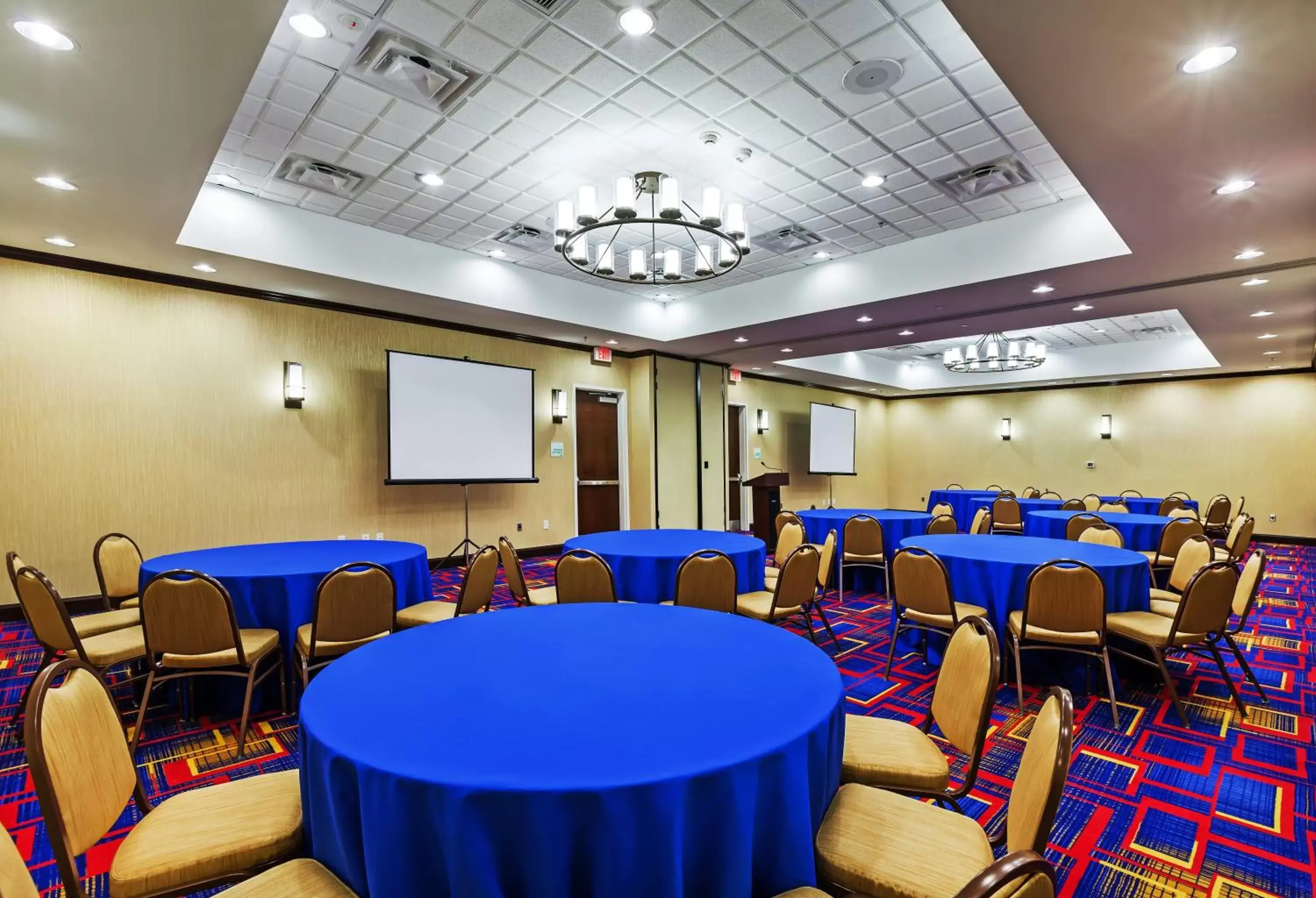 Meeting/conference room in Holiday Inn Plano-The Colony, an IHG Hotel