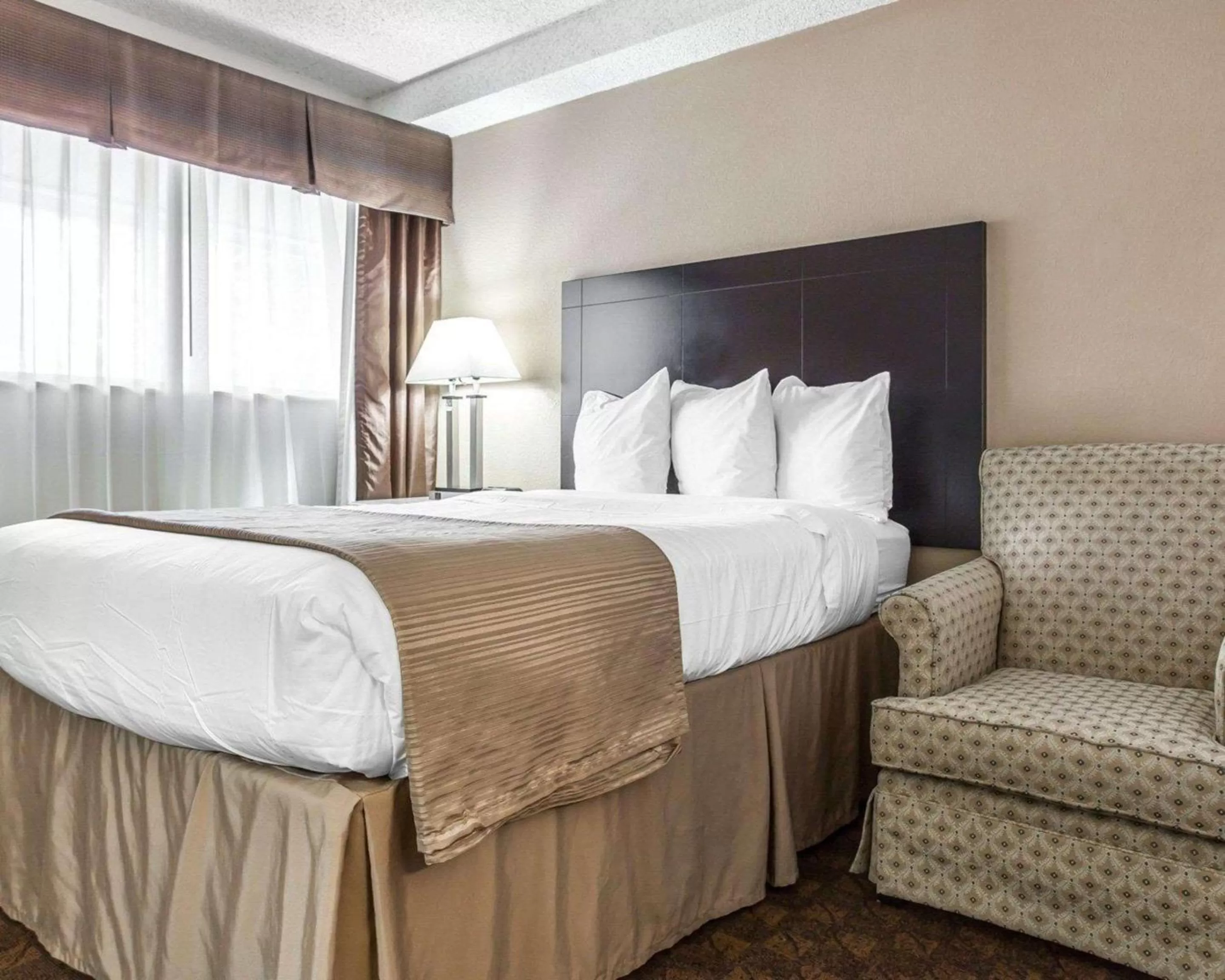 Photo of the whole room, Bed in Quality Inn & Suites Coliseum