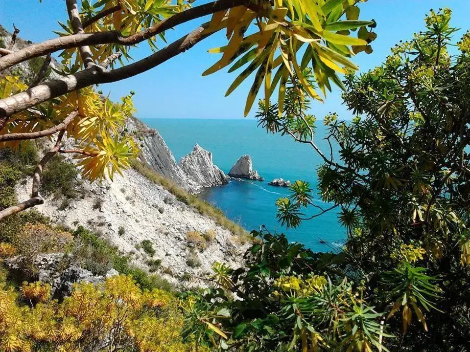 Natural landscape in Hotel Il Parco Sirolo