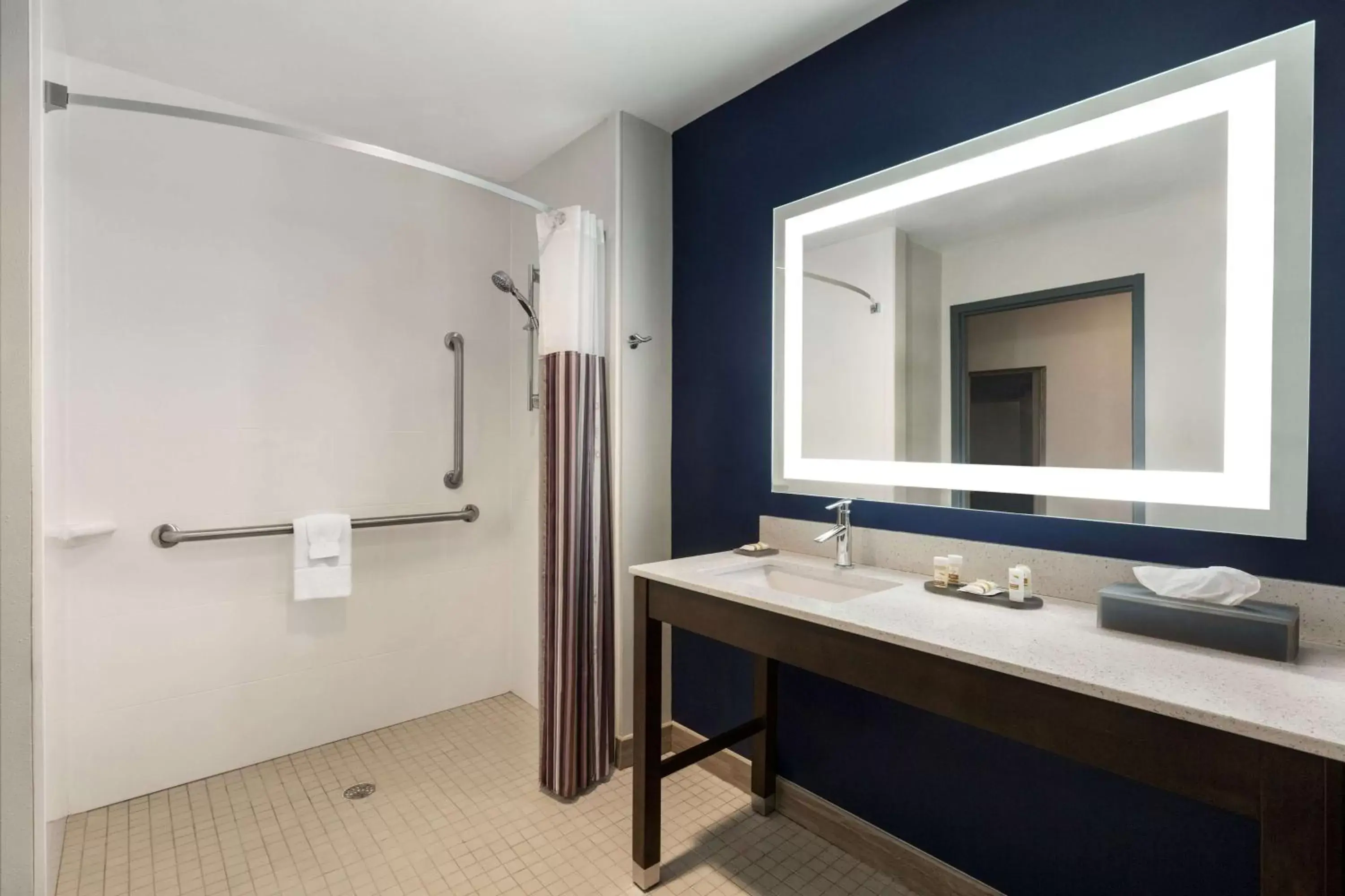 Shower, Bathroom in La Quinta by Wyndham Rock Hill