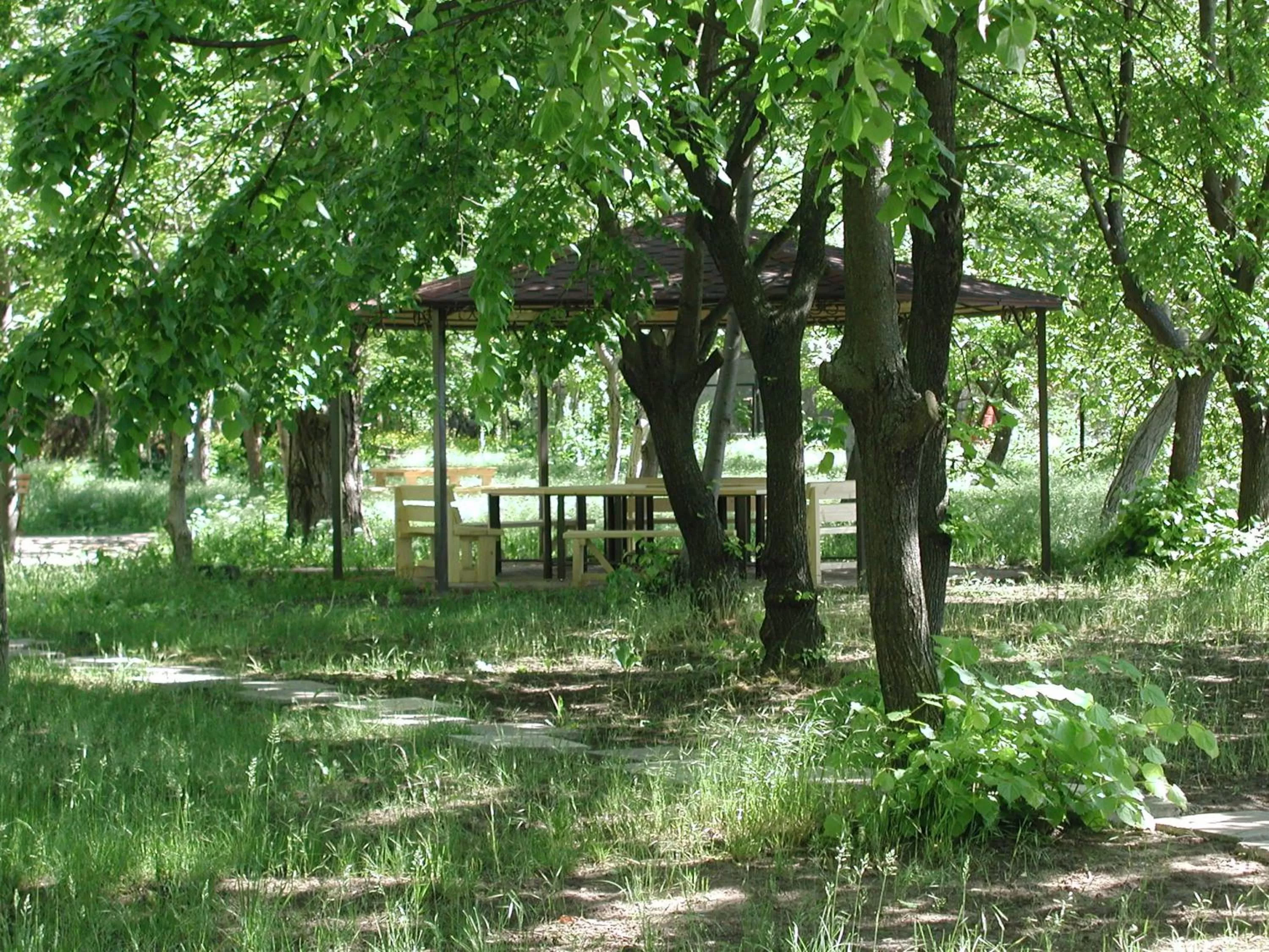 BBQ facilities in Zelenyi Kampus