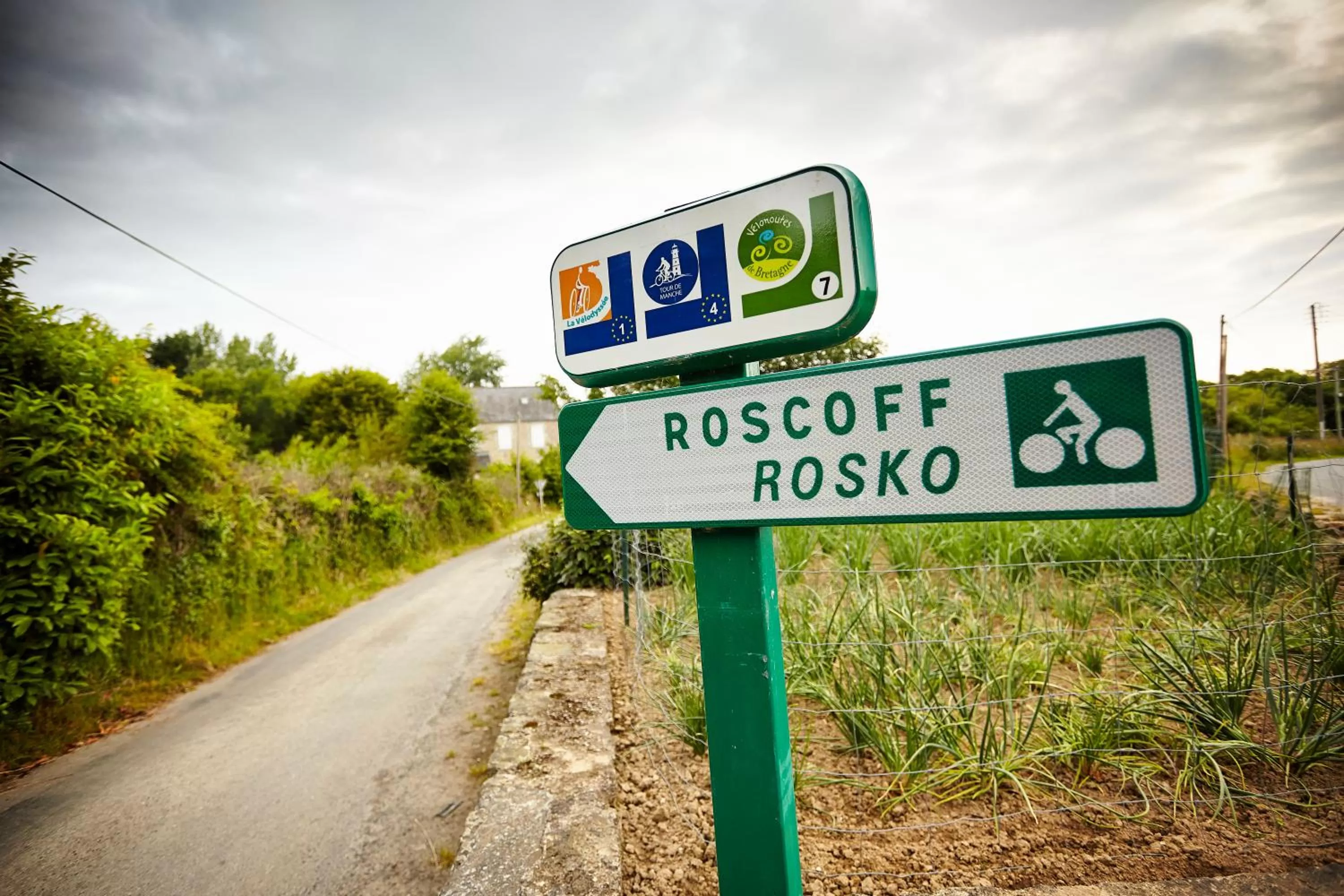Cycling in Hôtel La Résidence des Artistes