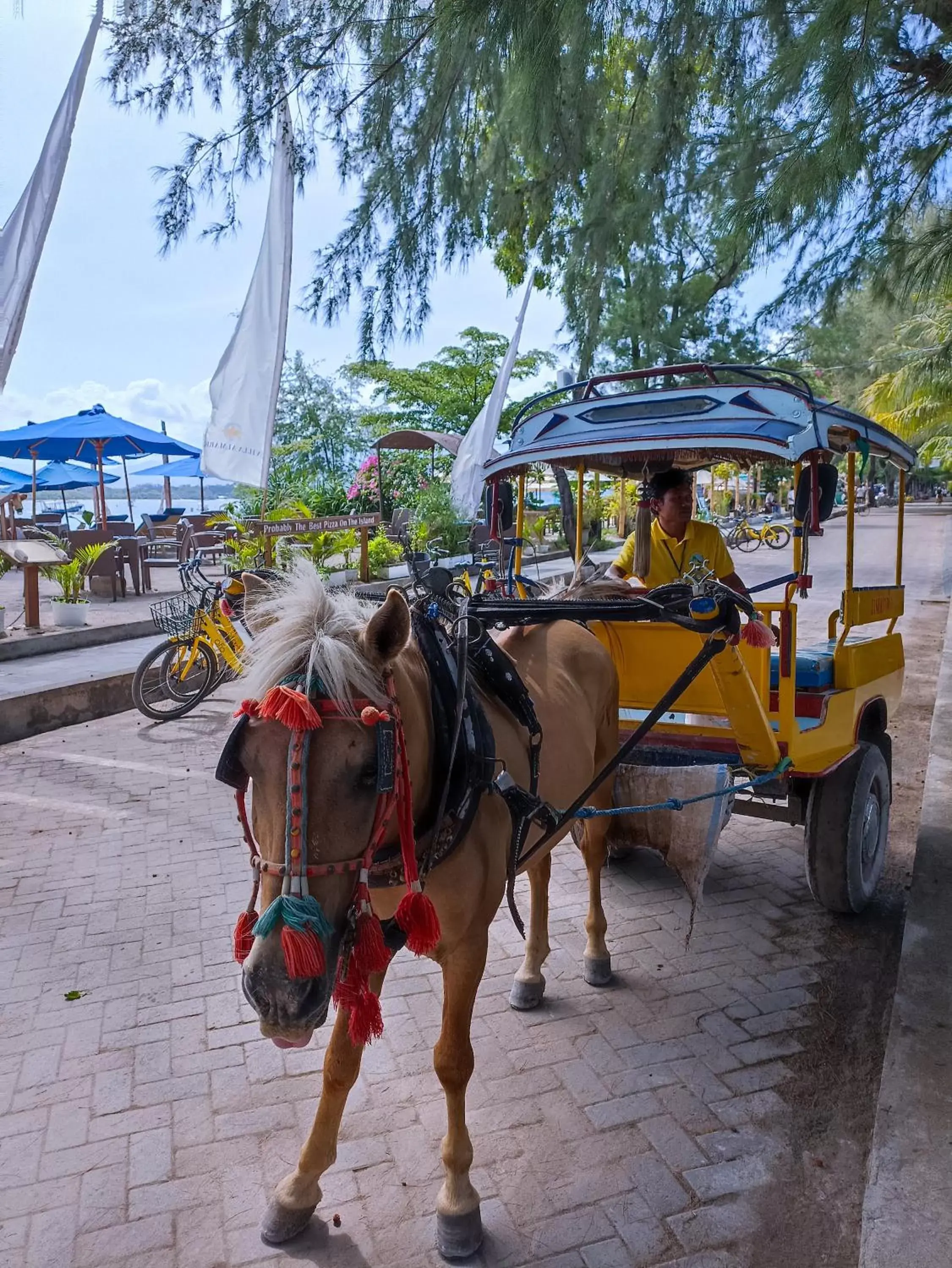 Day, Other Animals in Villa Almarik Resort