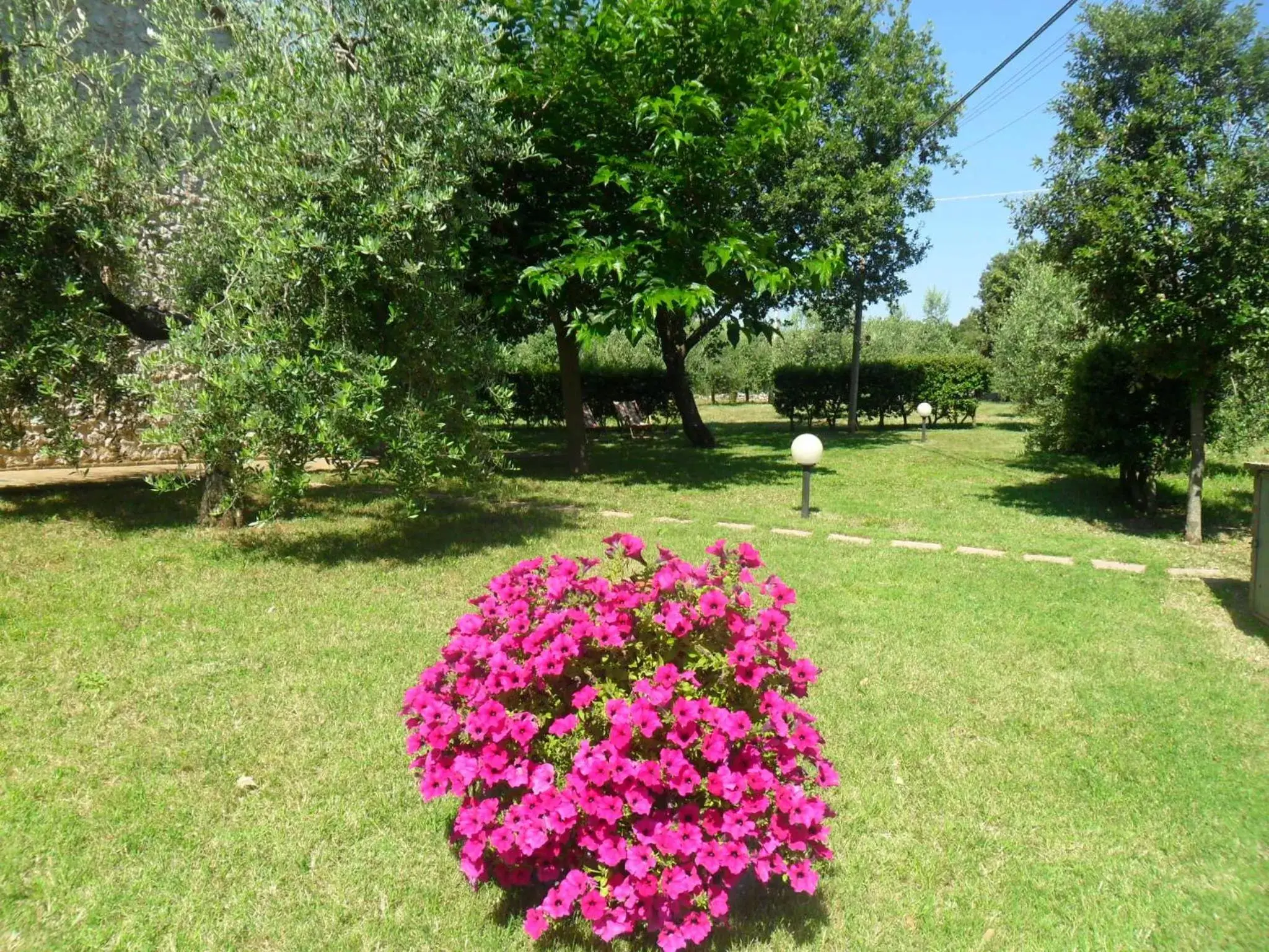 Garden in Casale Santa Caterina