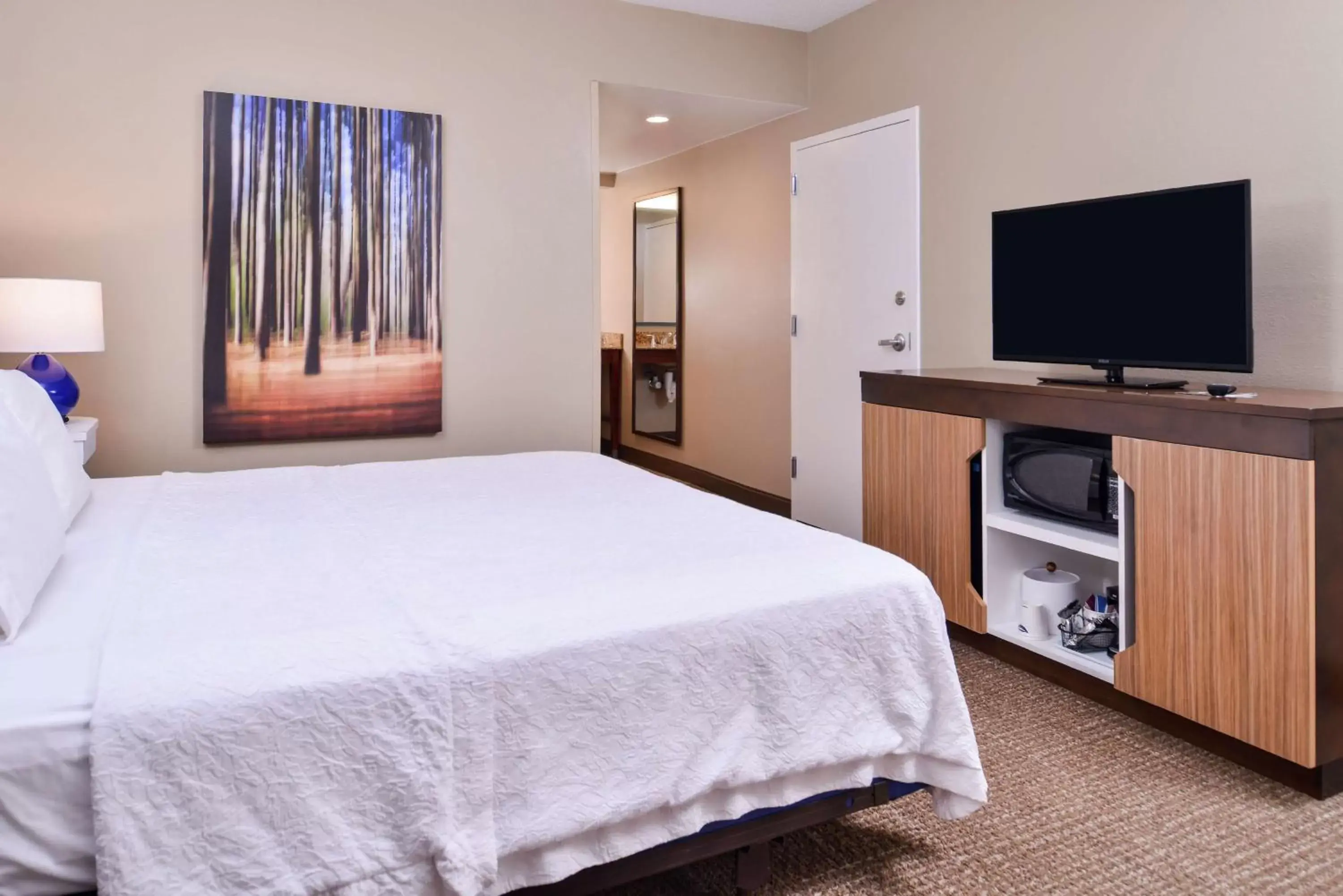 Photo of the whole room, TV/Entertainment Center in Hampton Inn Lexington Historic Area