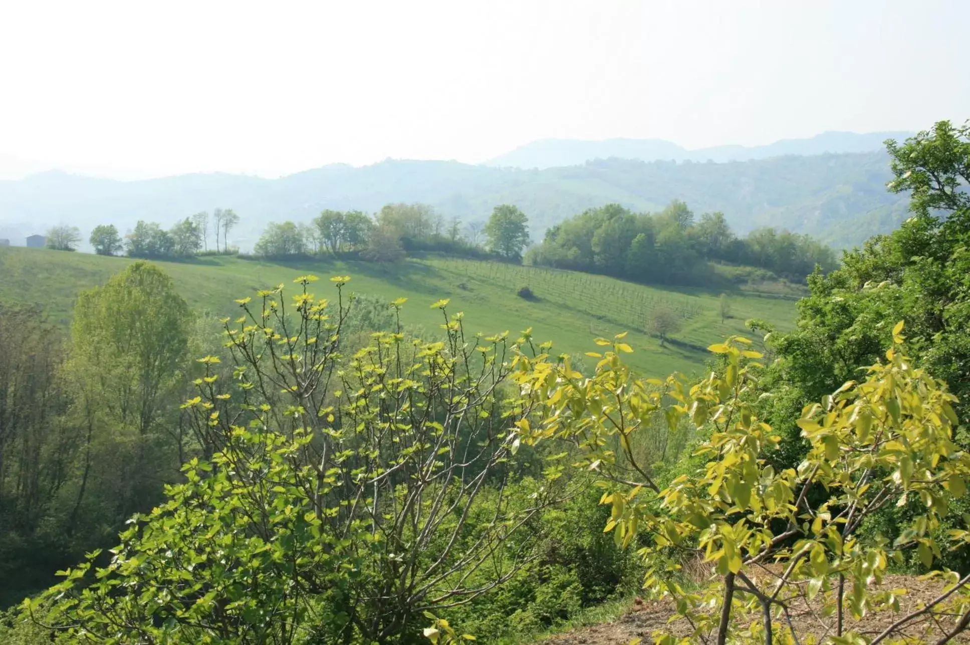 Natural Landscape in Casa dell' Abbondanza B&B Agriturismo