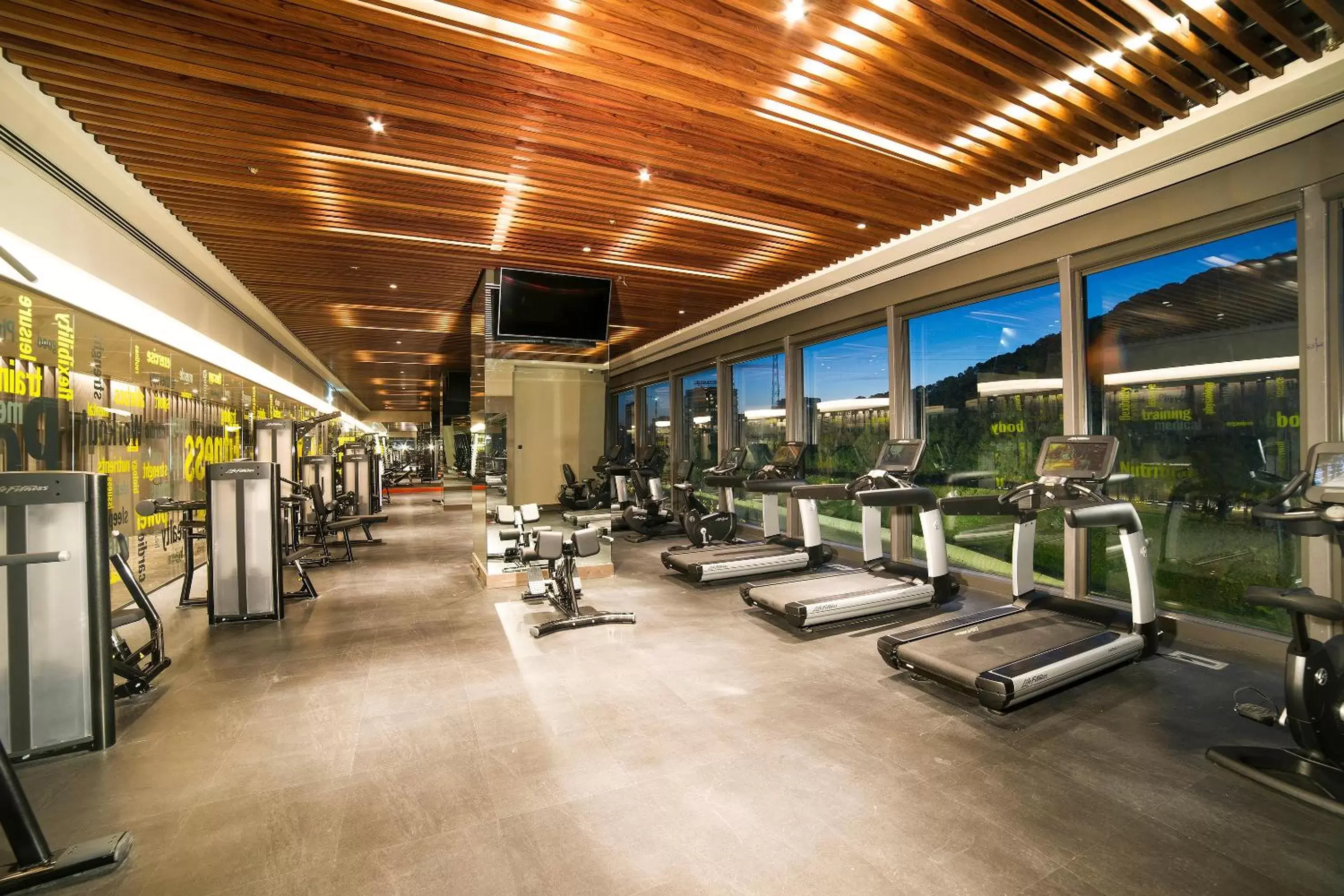 View (from property/room), Fitness Center/Facilities in Radisson Collection Hotel, Vadistanbul