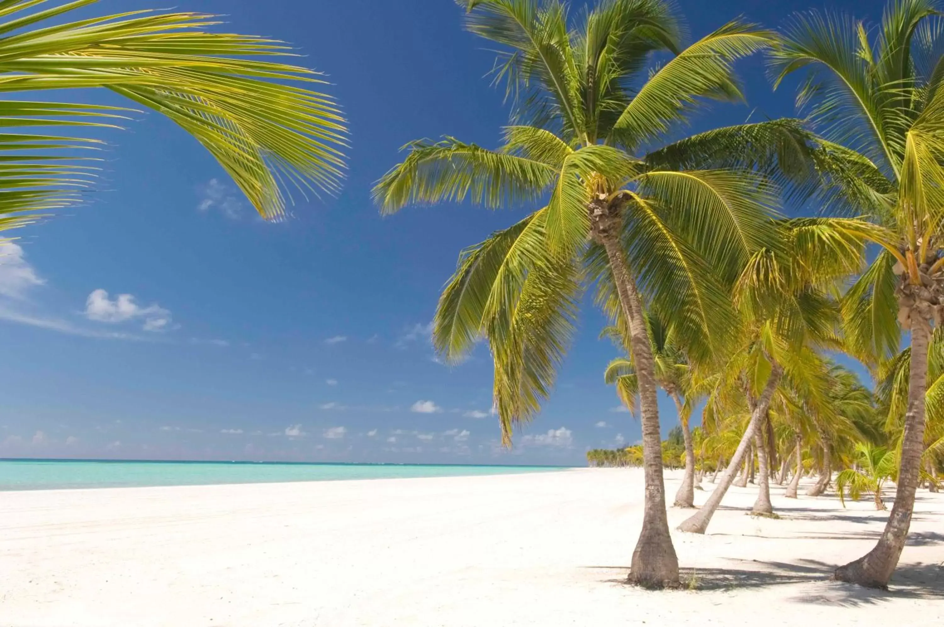 Beach in Fishing Lodge Cap Cana