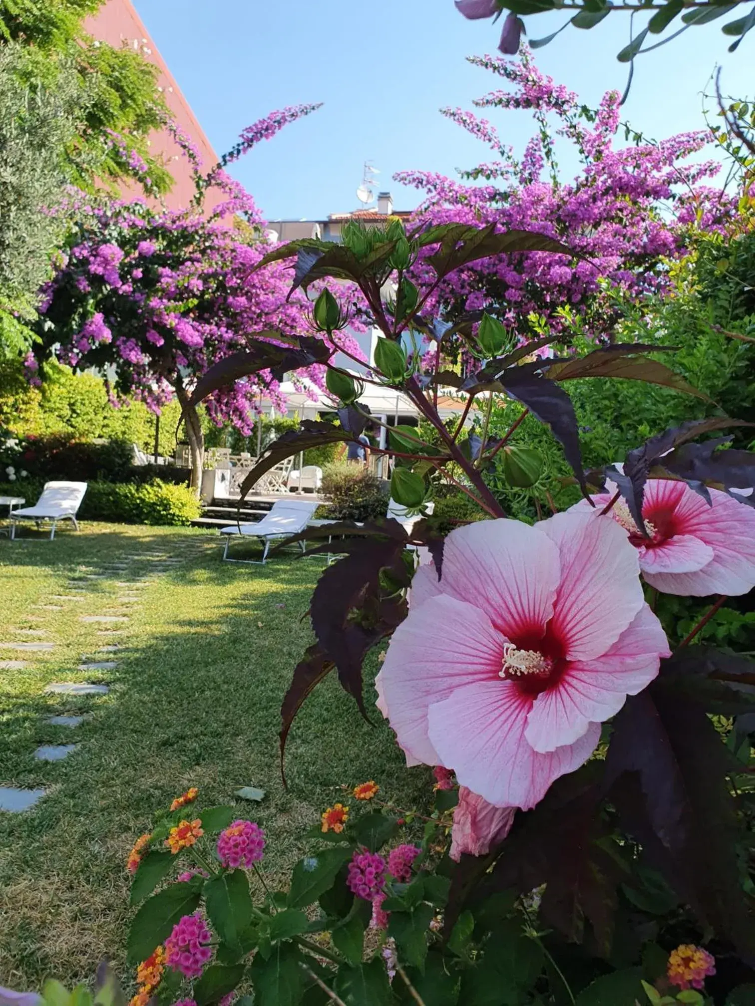 Garden in Blu Hotel