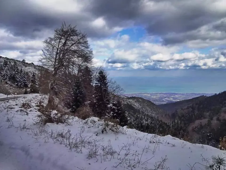 Natural landscape, Winter in Alexandros Hotel