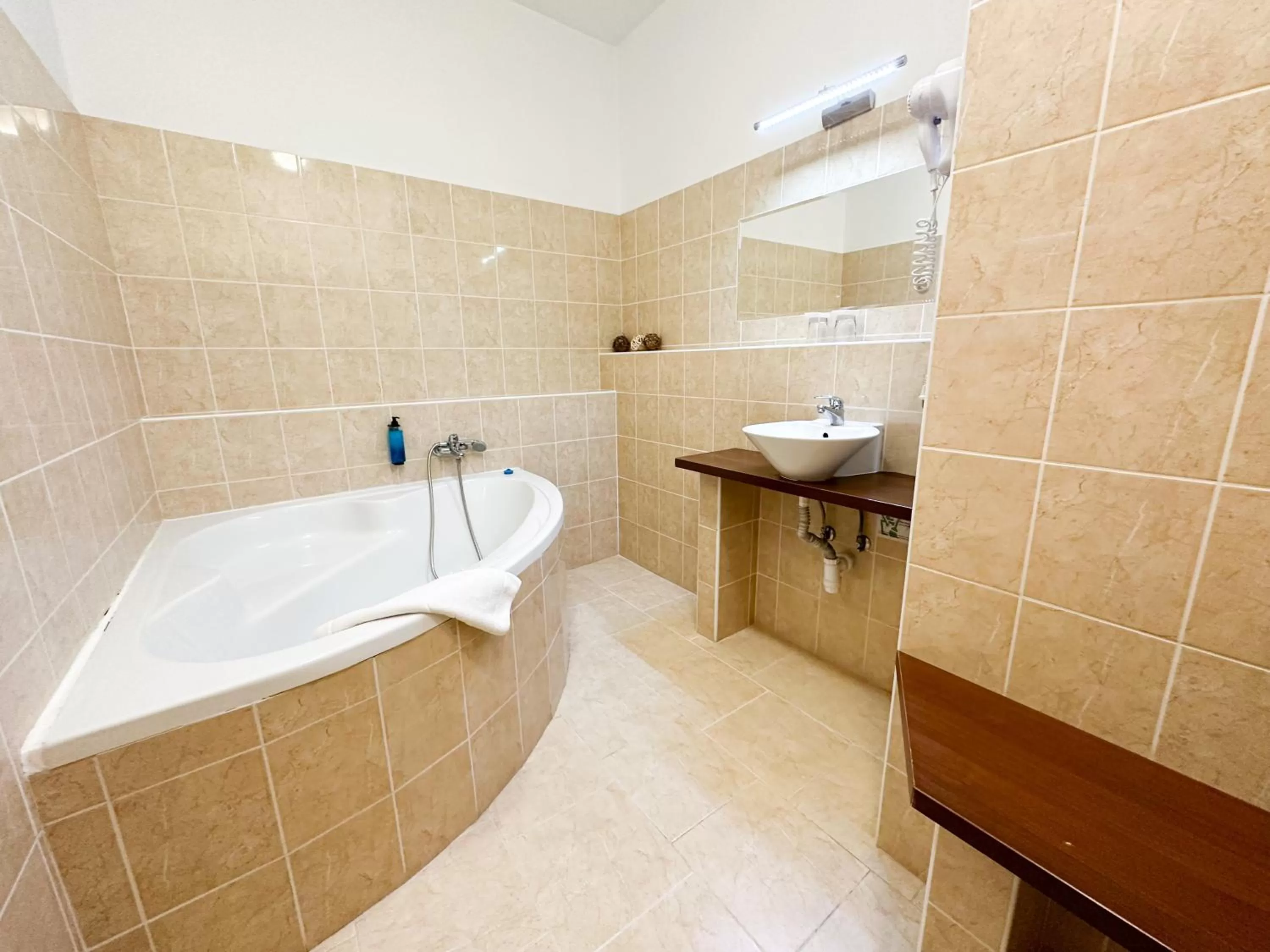 Bathroom in Hotel Modena