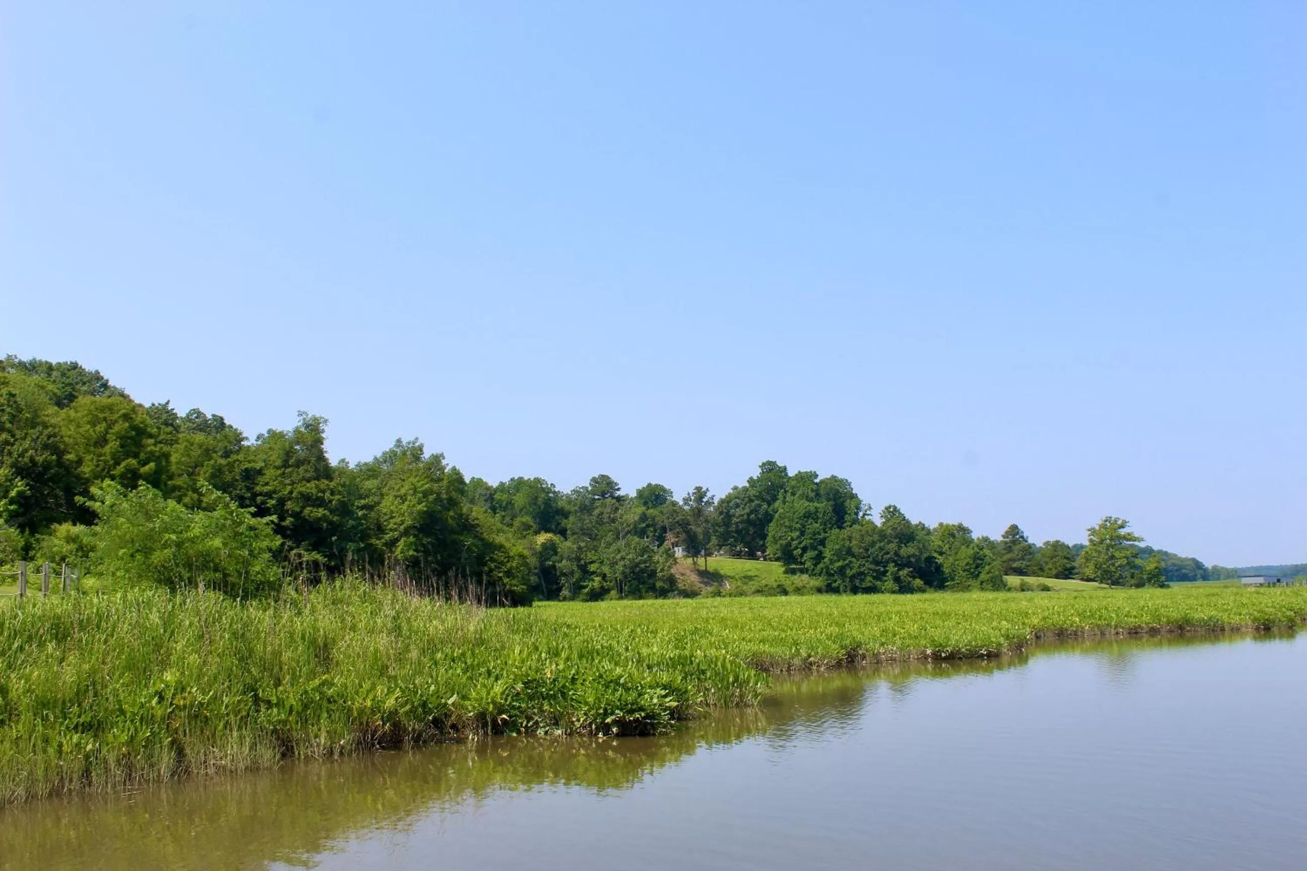 Natural landscape in Surry Seafood Company