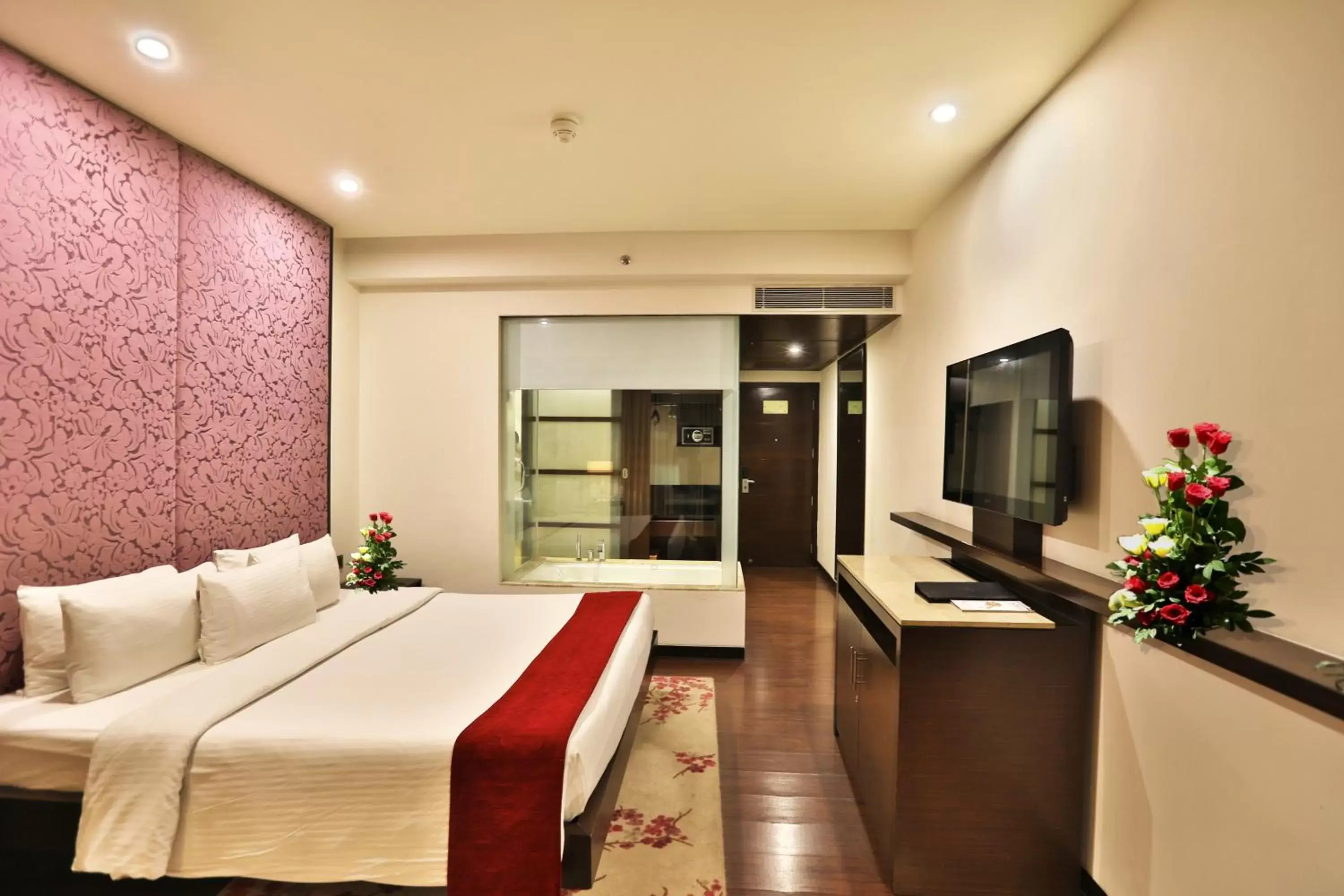 TV and multimedia in Hotel Royal Orchid Jaipur, 3 Kms to Airport