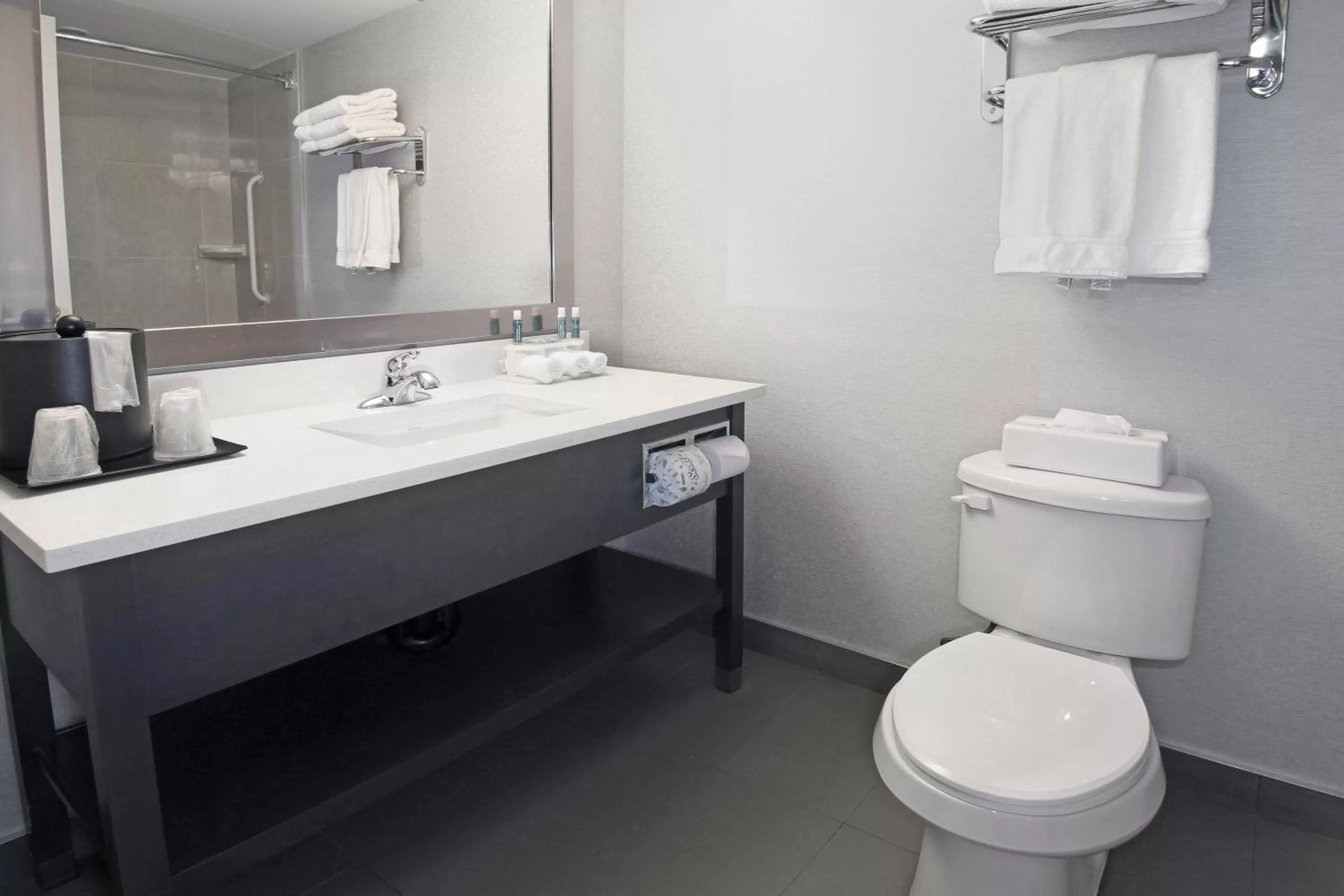 Bathroom in Holiday Inn Express and Suites Calgary by IHG