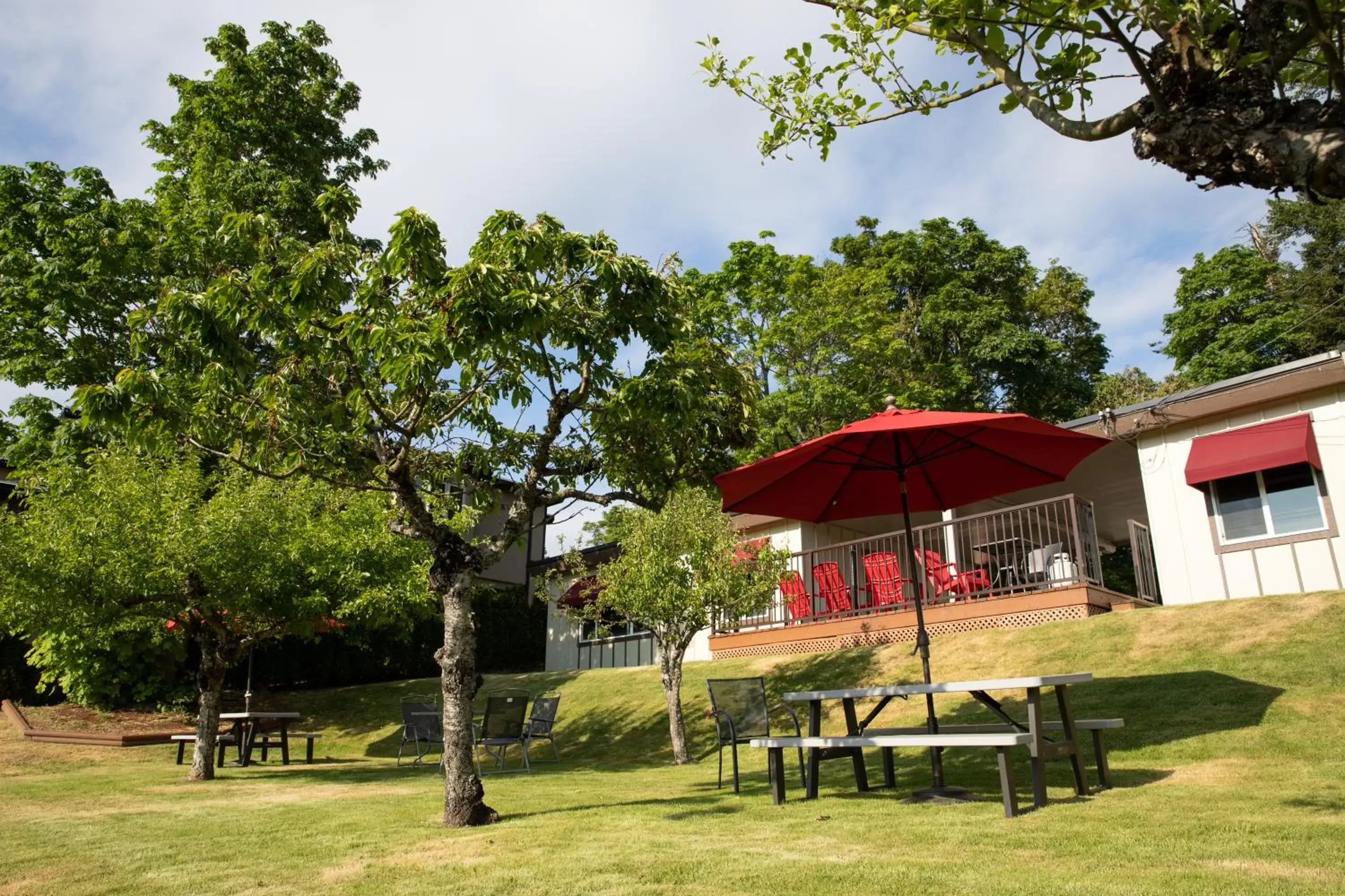 Garden in Cherry Tree Inn