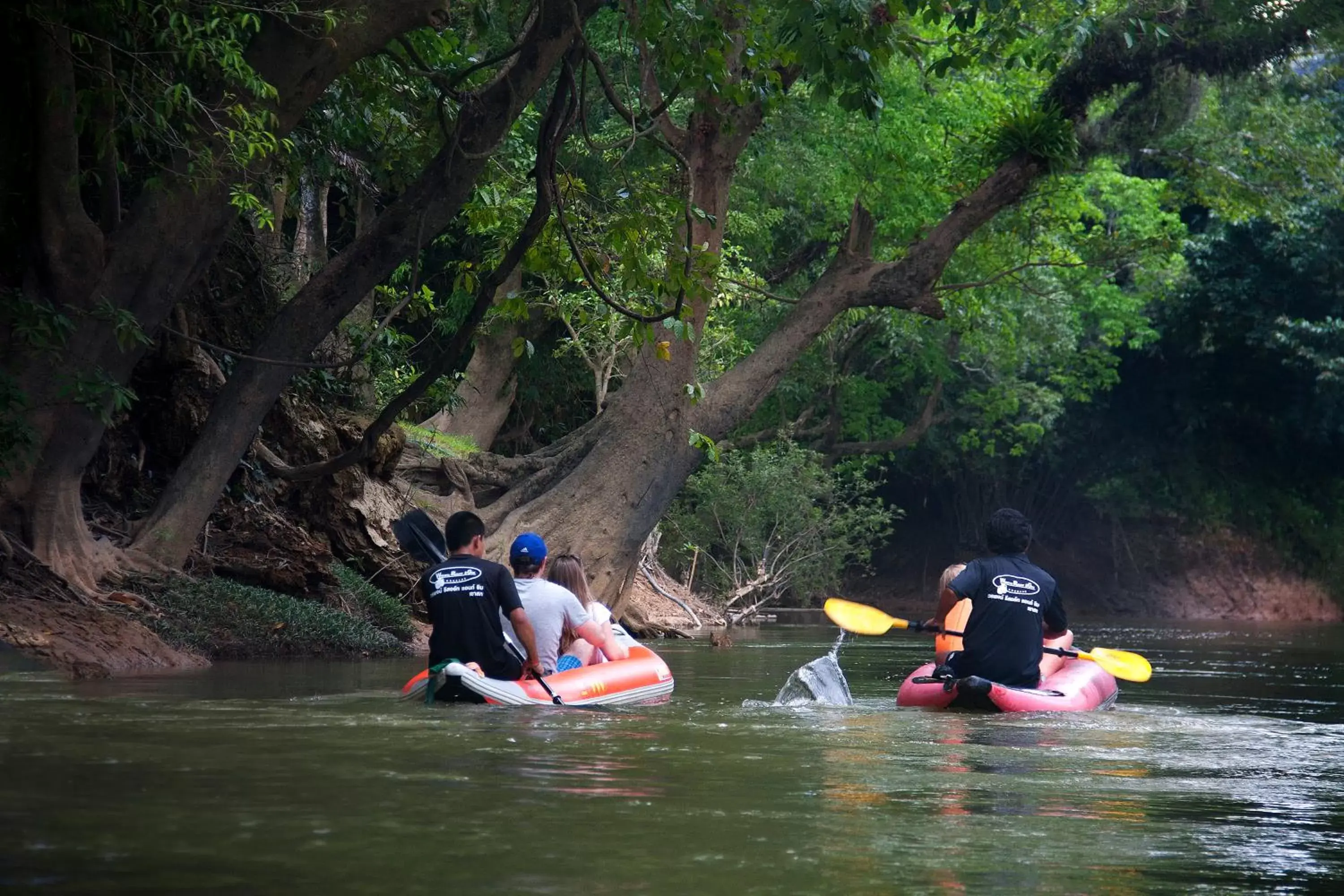 Lake view in Khao Sok River Home Resort Lake view in Khao Sok River Home Resort