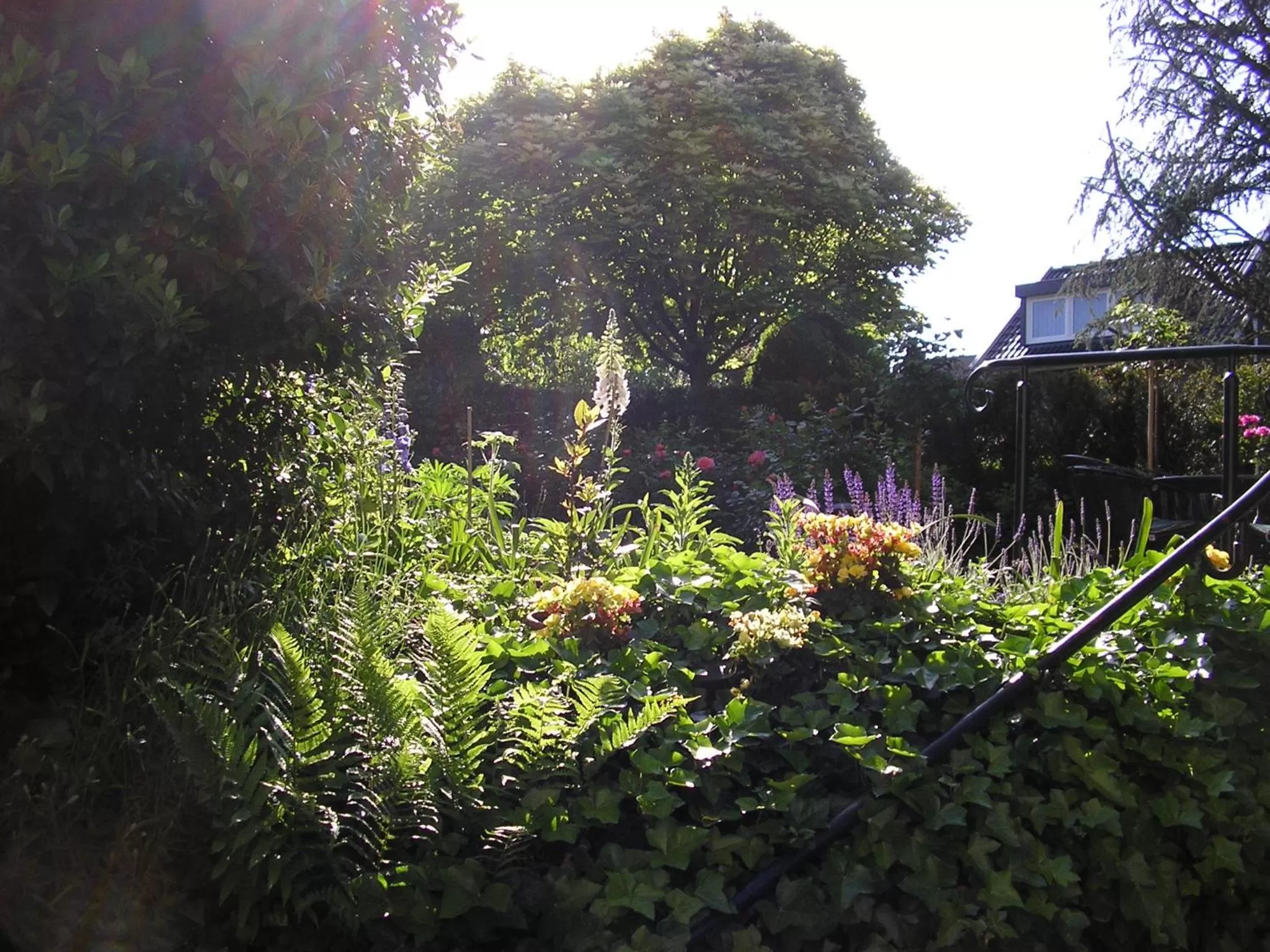 Garden in Walnut Lodge Bed & Breakfast