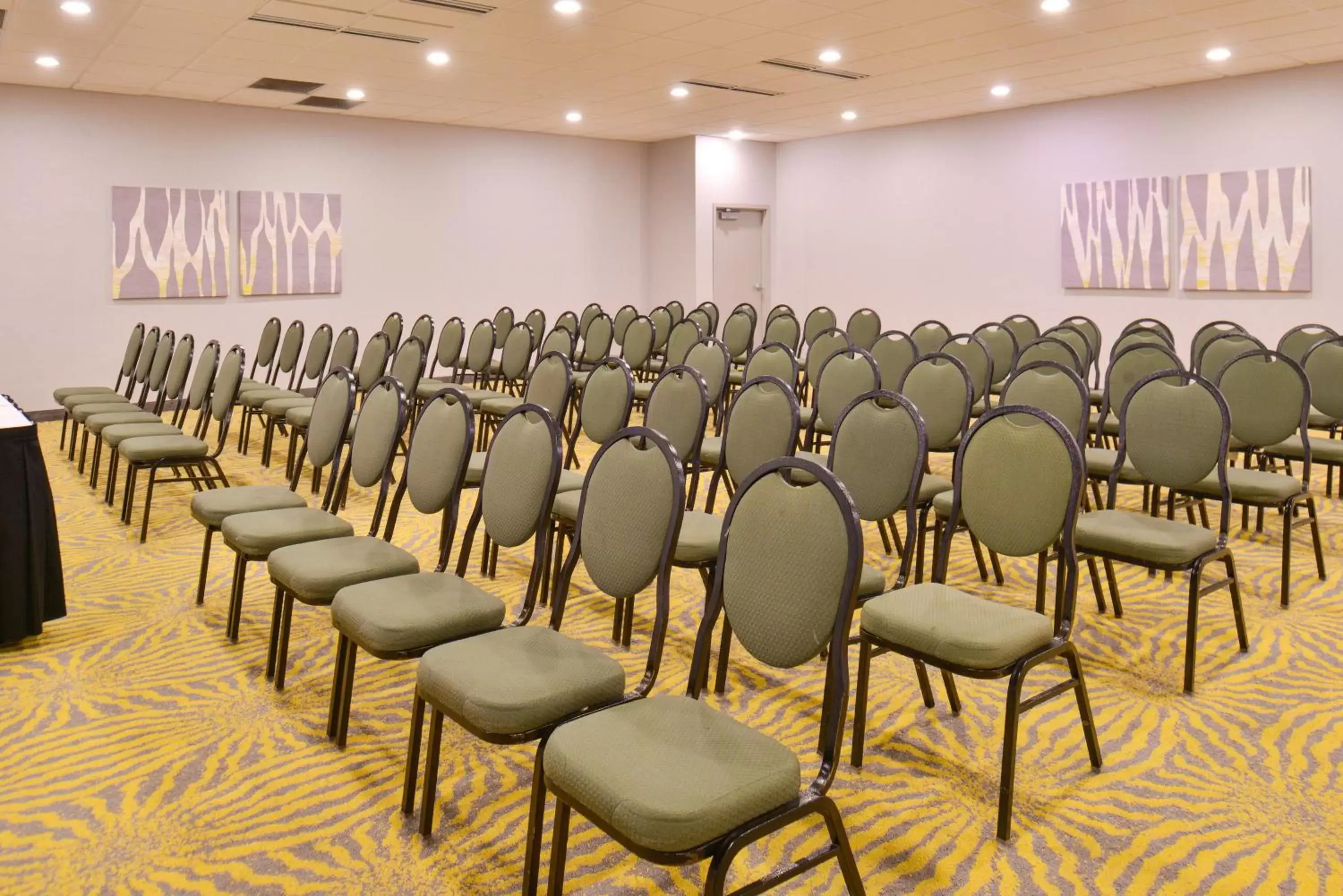 Meeting/conference room in Holiday Inn Richardson, an IHG Hotel