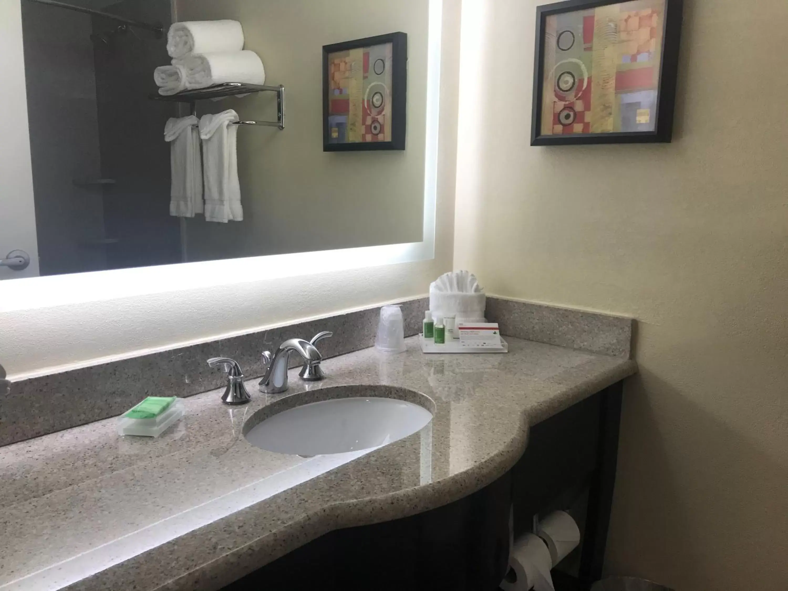 Bathroom in Holiday Inn Orlando East-UCF Area, an IHG Hotel