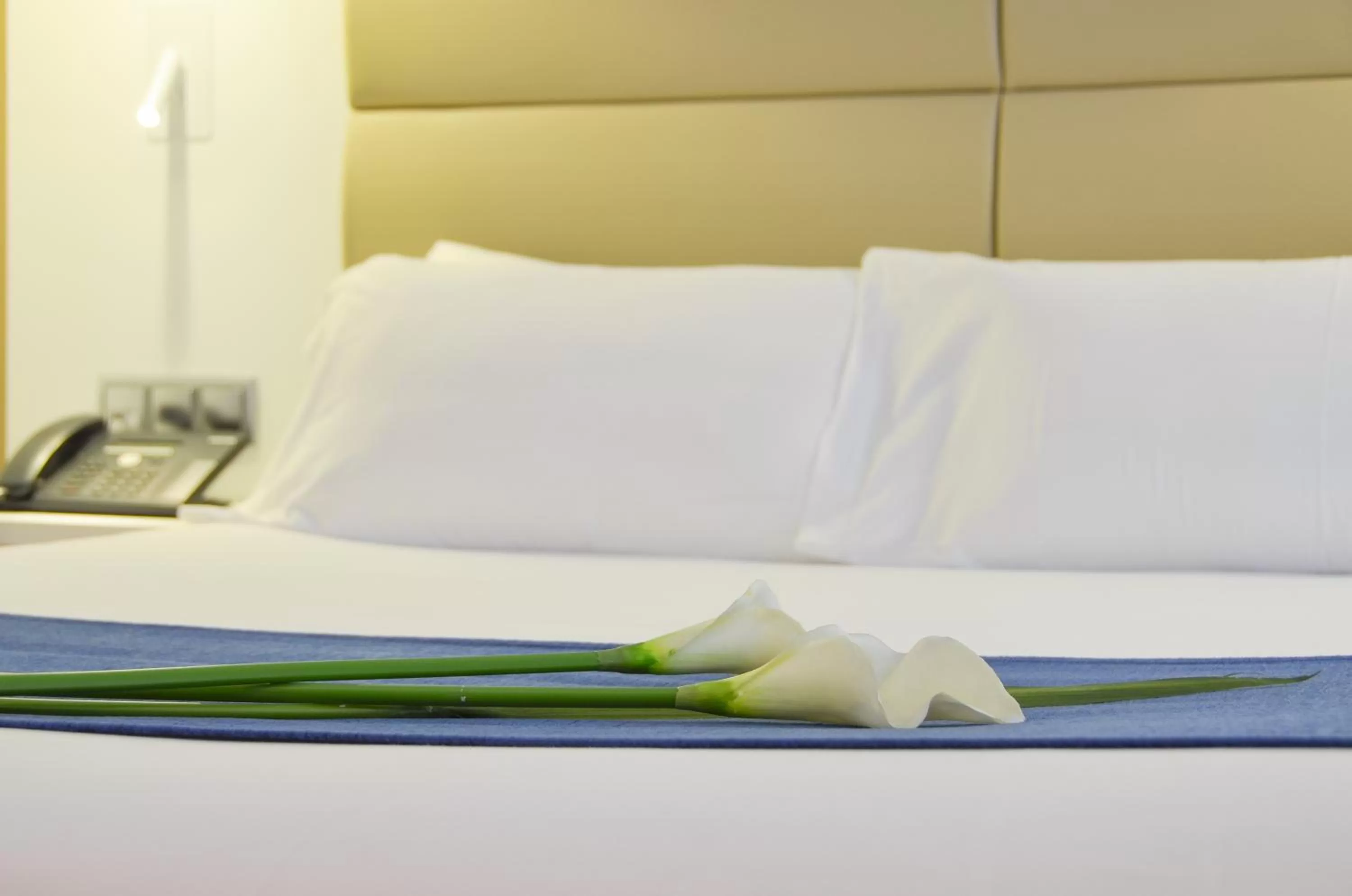 Decorative detail, Bed in Hotel Miau