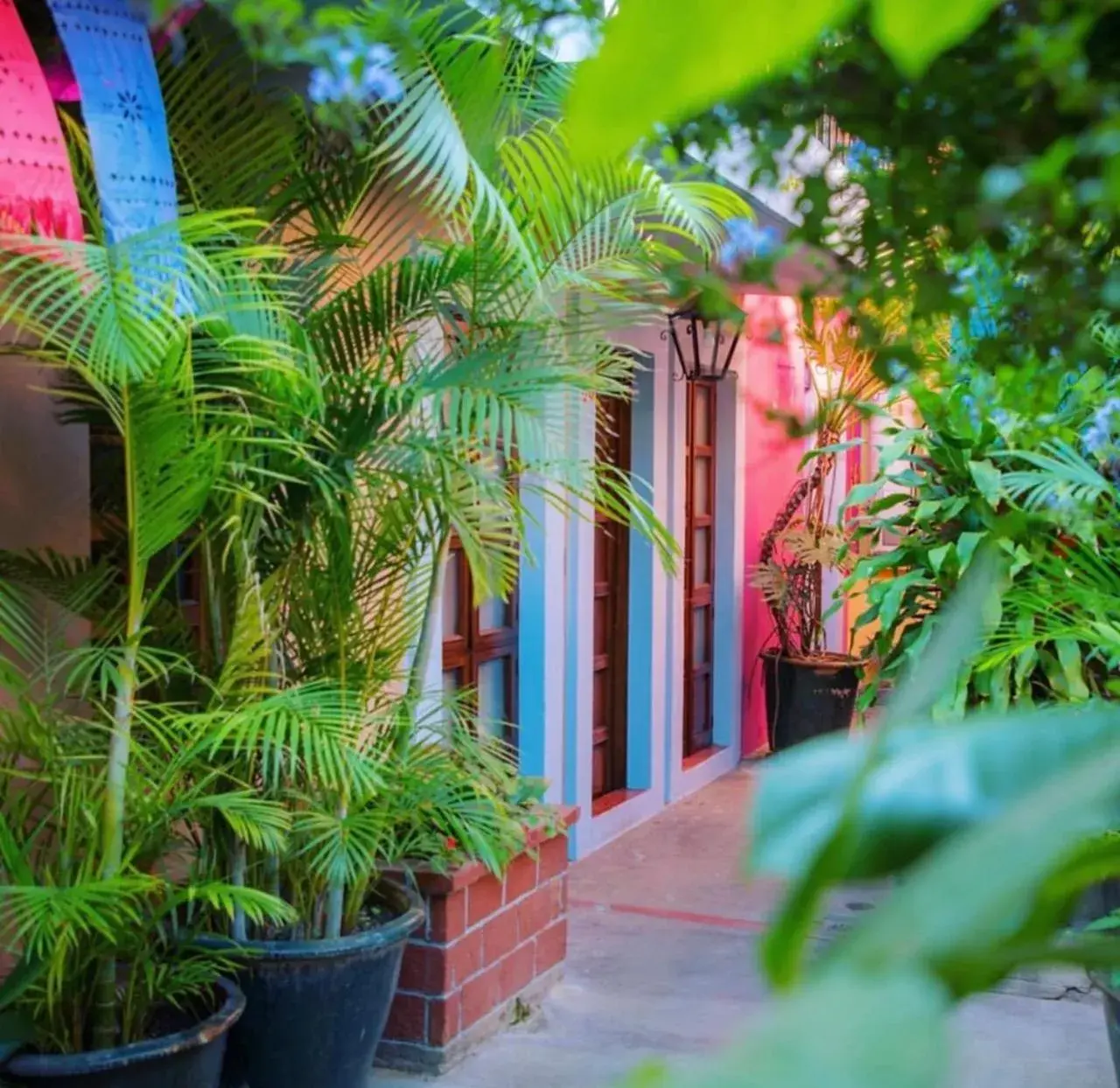 Hotel Las Golondrinas Hotel Las Golondrinas