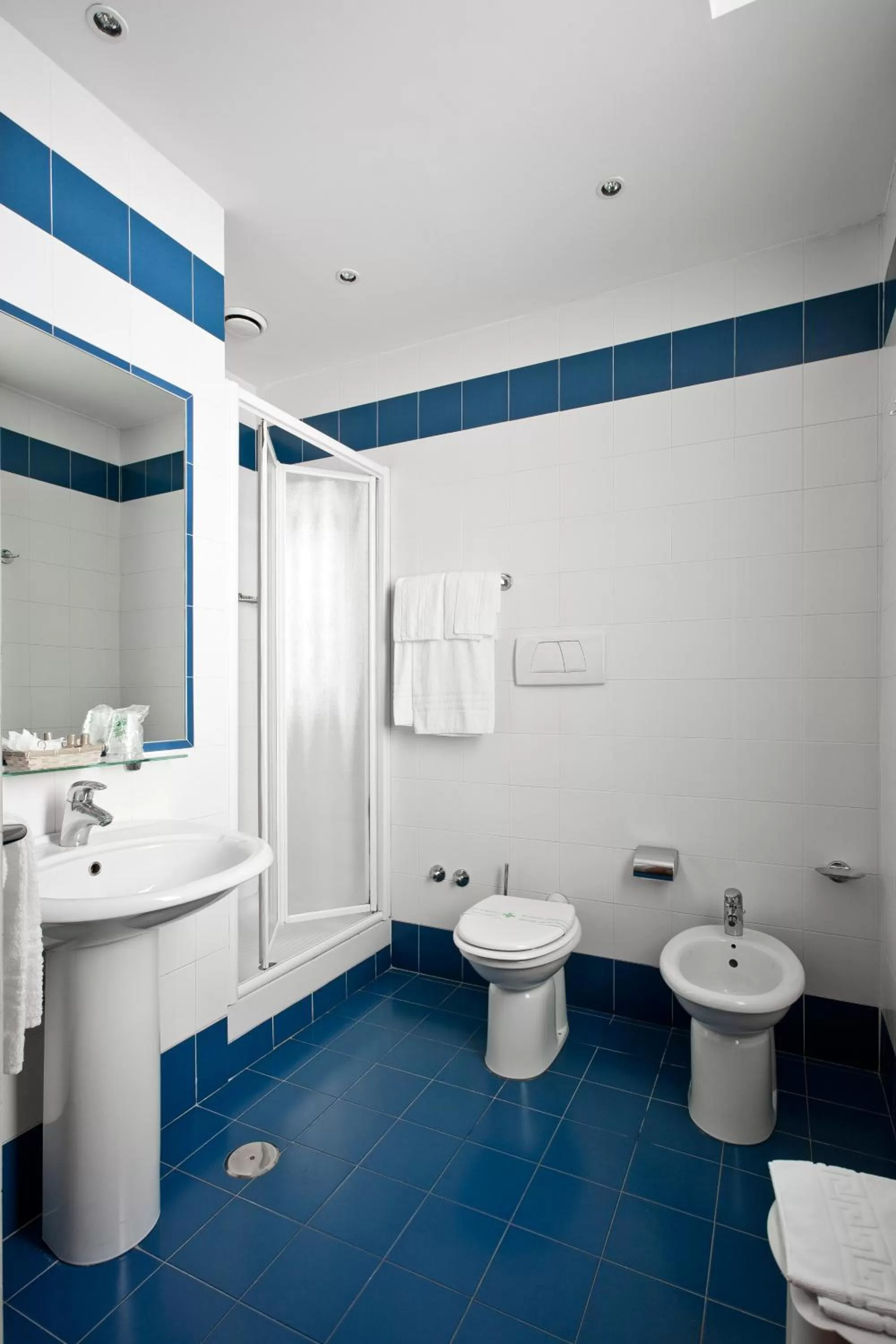 Bathroom in Hotel Fortuna