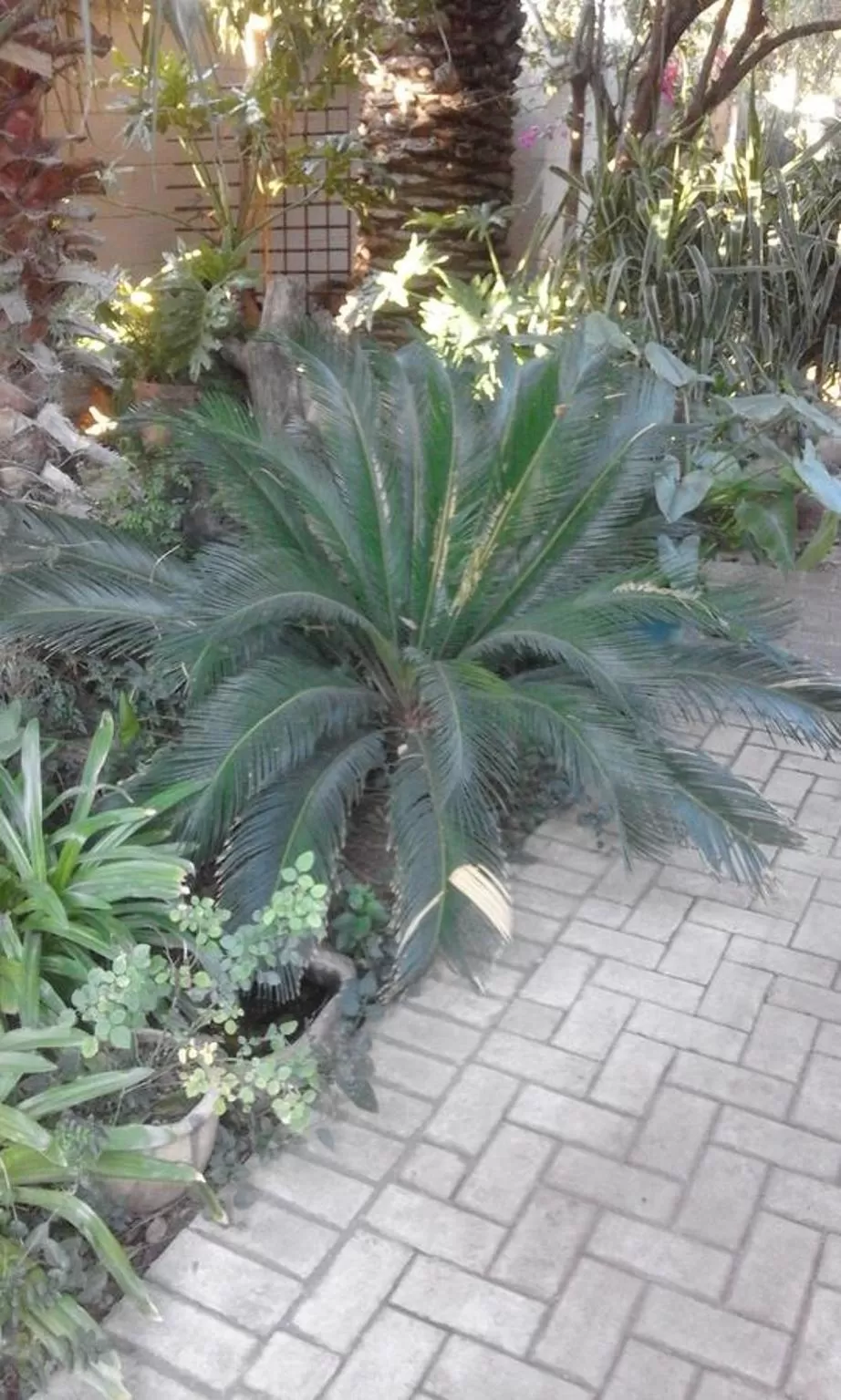 Garden view in Poetry Guestrooms