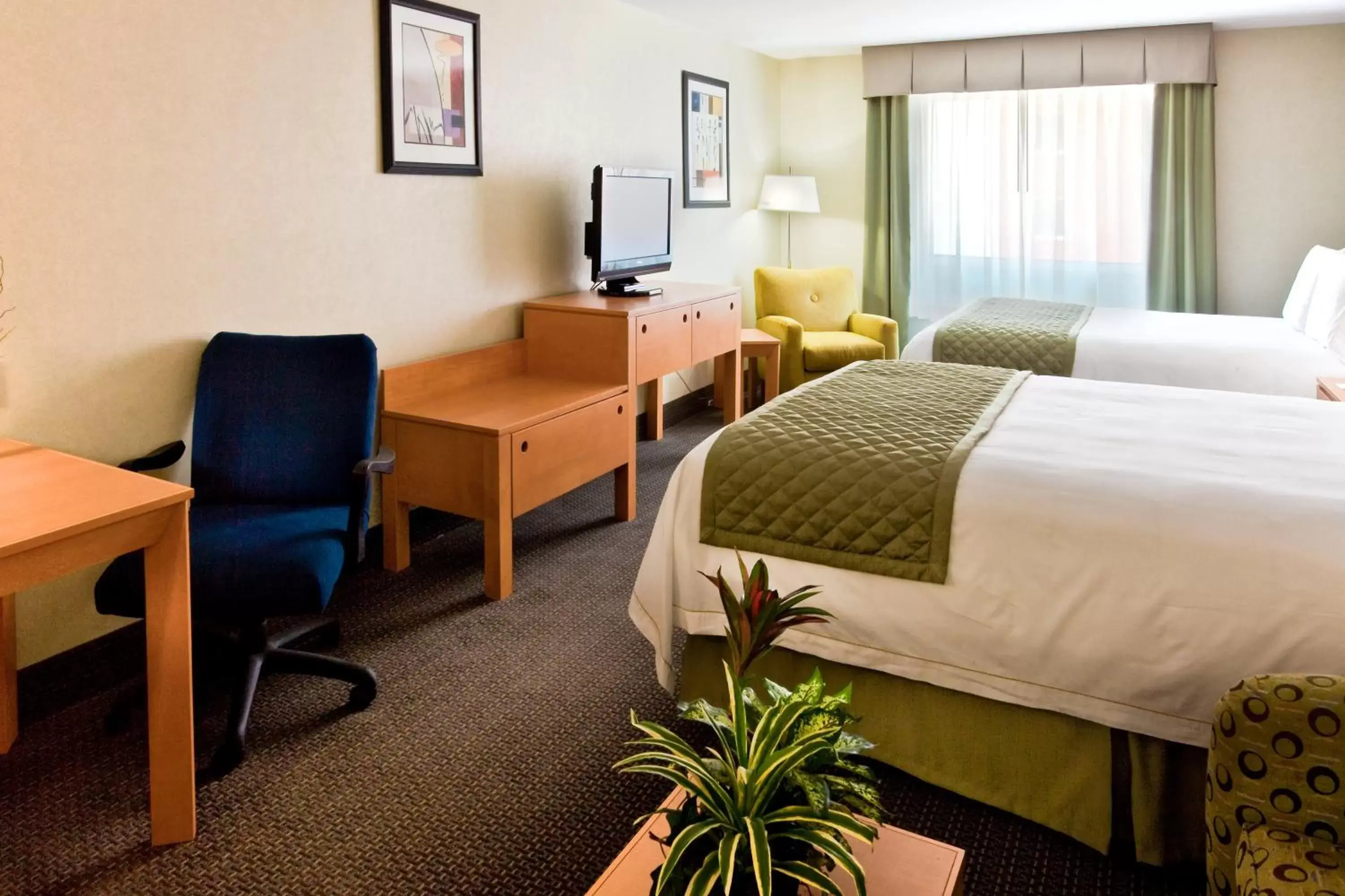 Photo of the whole room, Bed in Holiday Inn Express & Suites Monterrey Aeropuerto, an IHG Hotel